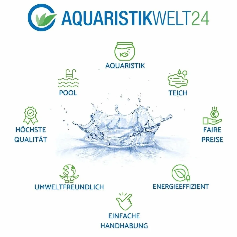 AquaOne Roślina akwariowa Cyperus helferi I roślina wodna, roślina akwariowa, rozłogi w pełni zakorzenione, łatwa w pielęgnacji, dekoracja Aquascaping