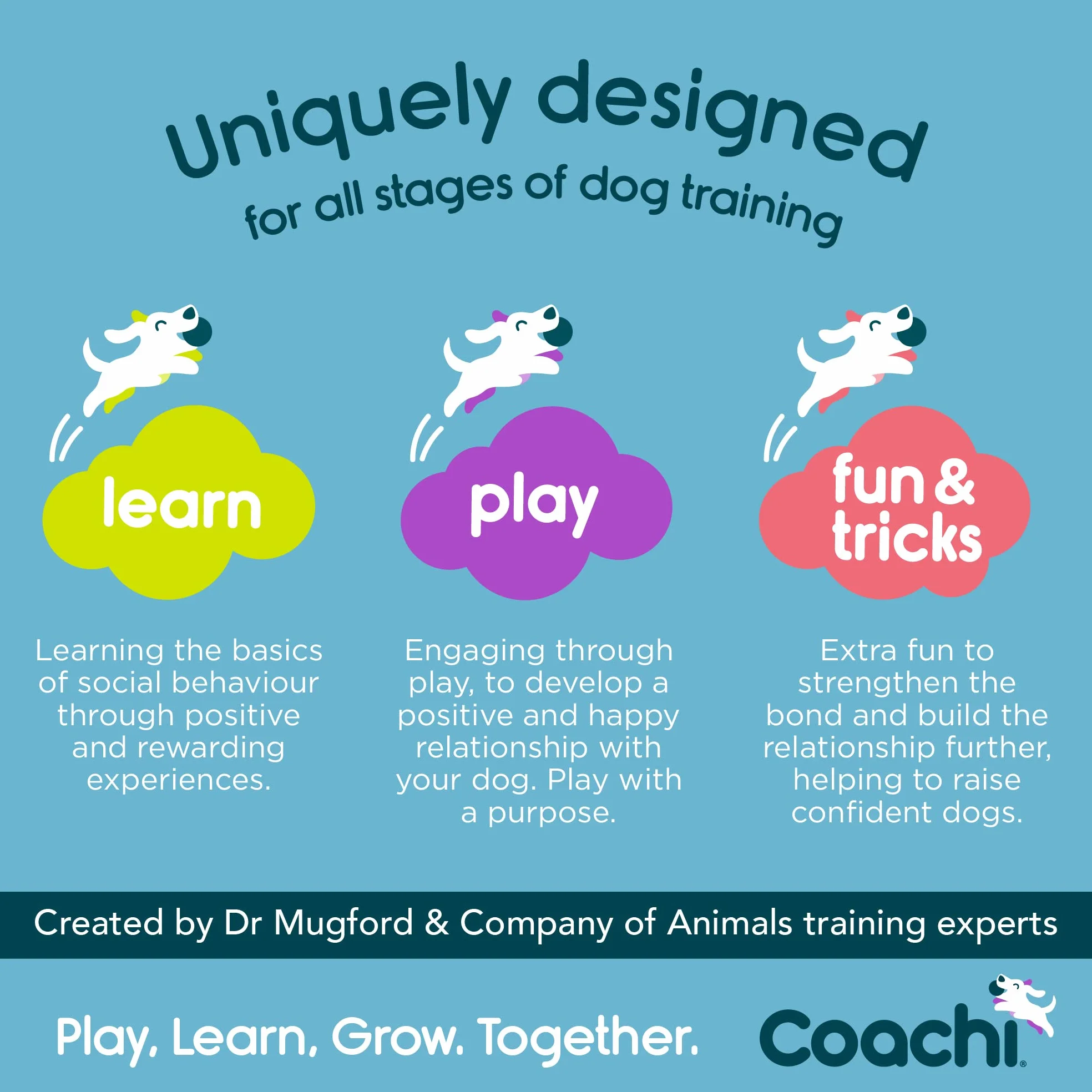 Coachi Chase & Treat, Great for Play & Chase, Agility & Distance Training, Encourages Interaction, Good for Motivating, Distance Reward Training & Encouraging Retrieval. Suitable for Dogs & Puppies