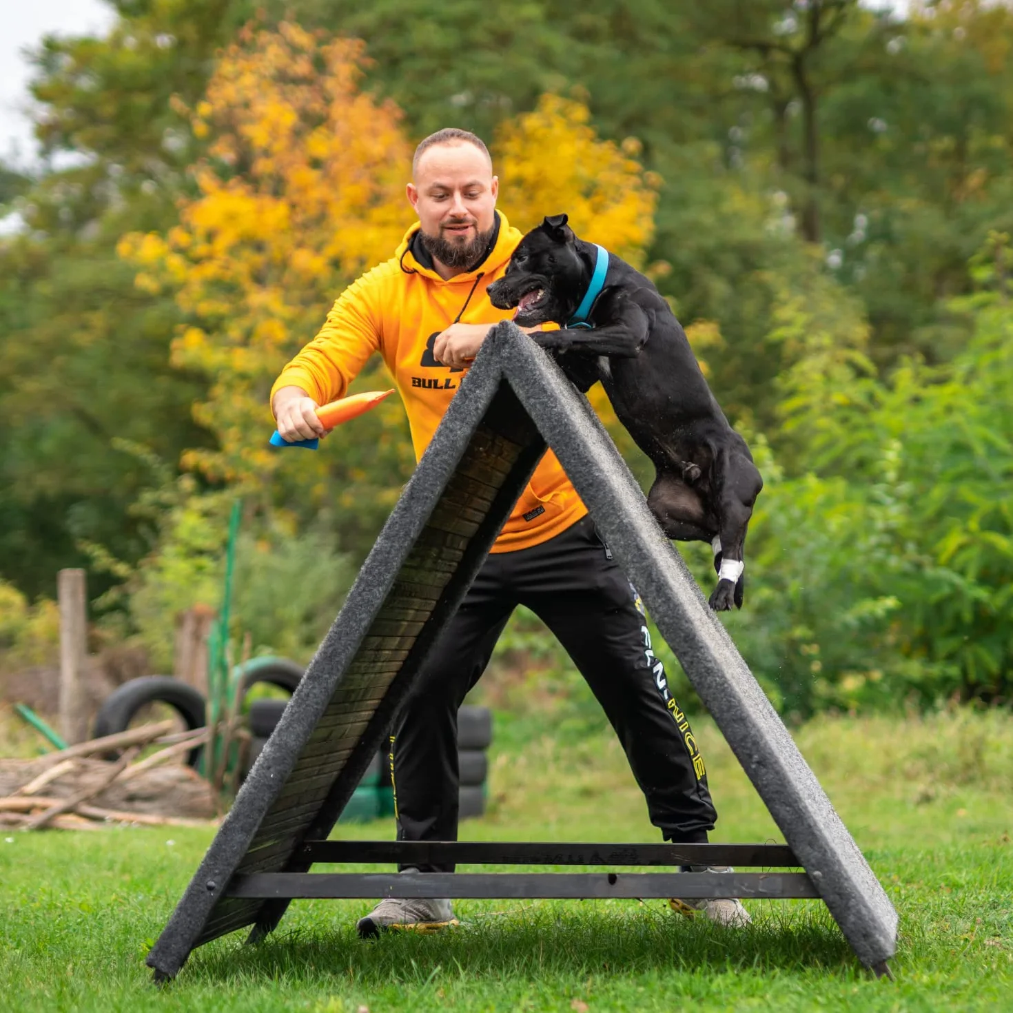 Bull Fit Szarpak dla psa 25 cm z rączką zabawka treningowa