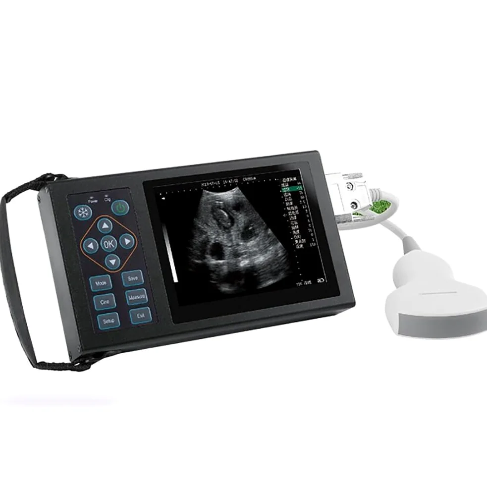 Weterynarz ultradźwiękowy do testowania ciążowego - urządzenie diagnostyczne o wysokiej rozdzielczości 5,0 MHz dla świń, owiec, psów i kotów