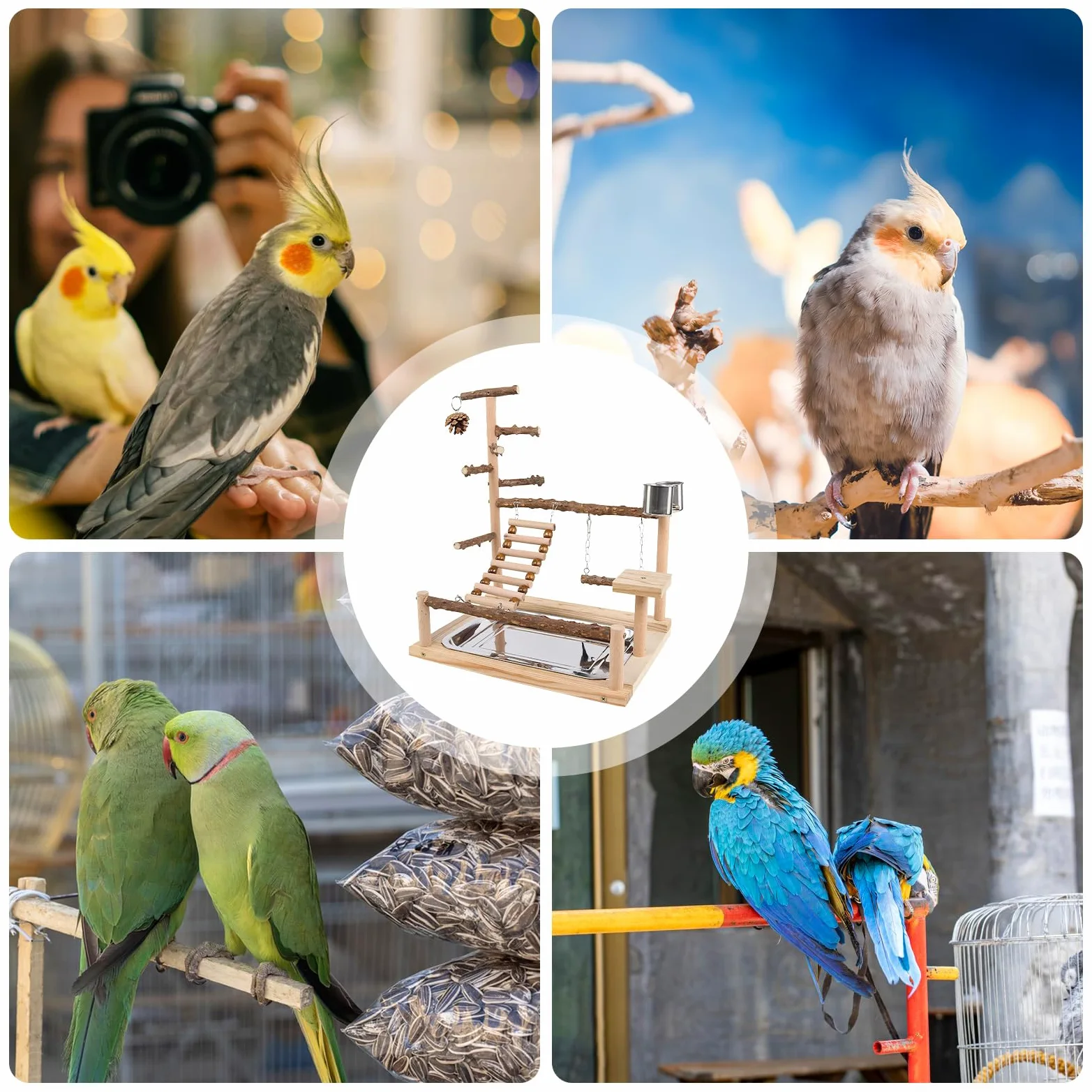 zabawowy dla ptaków Drewniana Zabawka Do Wspinaczki | Ptasia Huśtawka ze Stalowym Kubkiem i Tacy dla Nimfy Konury Zięby i Nierozłączki do Ćwiczeń