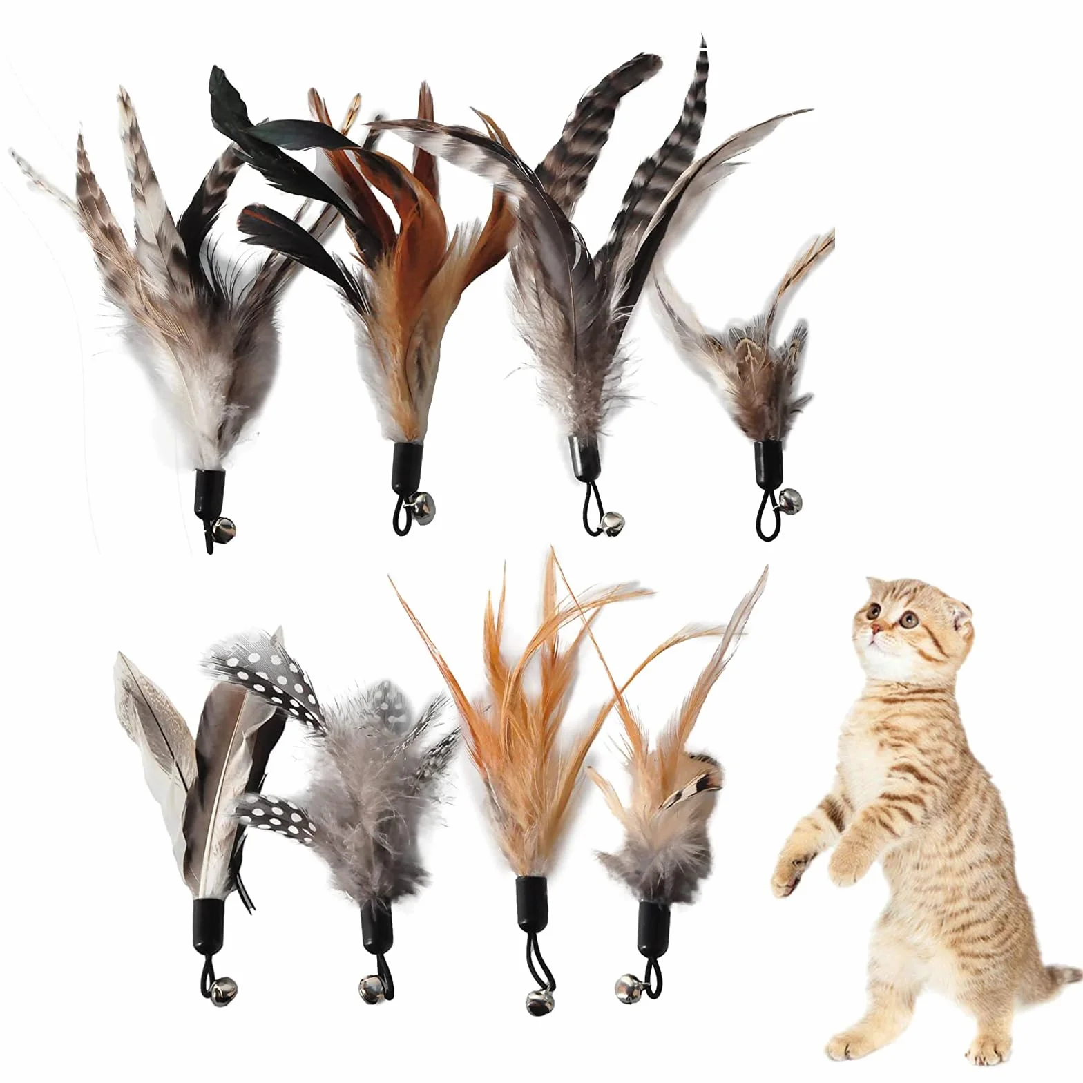 Kot Feather Toys, 8 sztuk zapasowych zabawek z piórami dla kotów, bez barwników chemicznych, łącznie z wkładami do naturalnych piór dla kotów