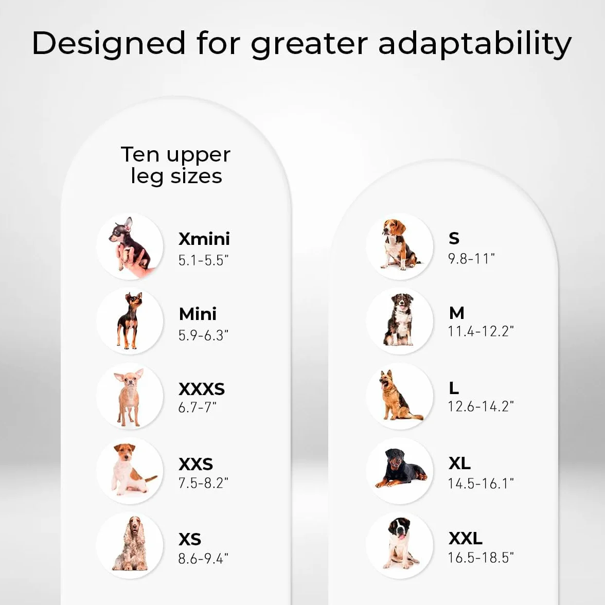 Ortocanis - Bandaż na staw nadgarstkowy dla psa - Artroza, urazy więzadeł i ścięgien lub Agility dla psów - Wykonany z neoprenu ARD - Rozmiar XXS 5-8 cm