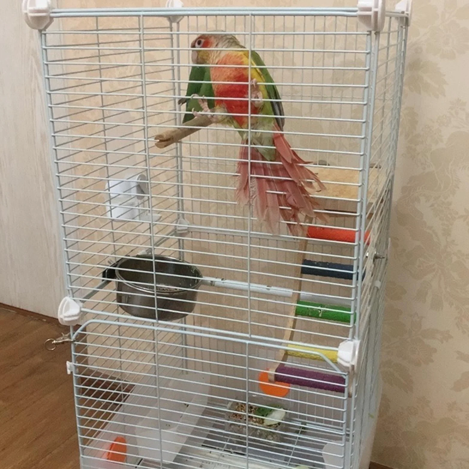 Klatka dla ptaków Klatka dla papug, konstrukcja klatki dla ptaków z kółkami i tacą, z platformą/stojak na ptaki/2 miski na karmę/wysuwana taca ()