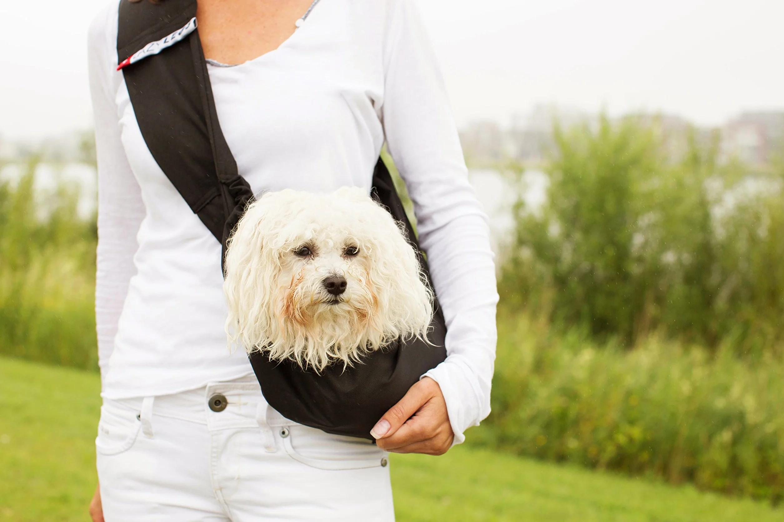 Pets Carrier Basic, czarny