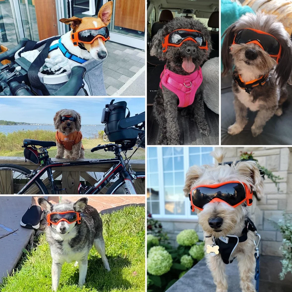 NAMSAN gogle dla zwierząt, okulary przeciwsłoneczne dla psów, ochrona przed promieniowaniem UV, wiatroszczelne, dla szczeniaków, regulowane elastyczne paski dla małych i średnich psów, pomarańczowe