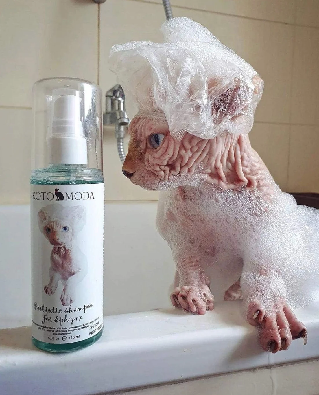 Probiotyczny Szampon dla Kotów Sphynx — Łagodna formuła bez SLS dla wrażliwej skóry, kociąt i kotów nagich, neutralne pH, 50 ml