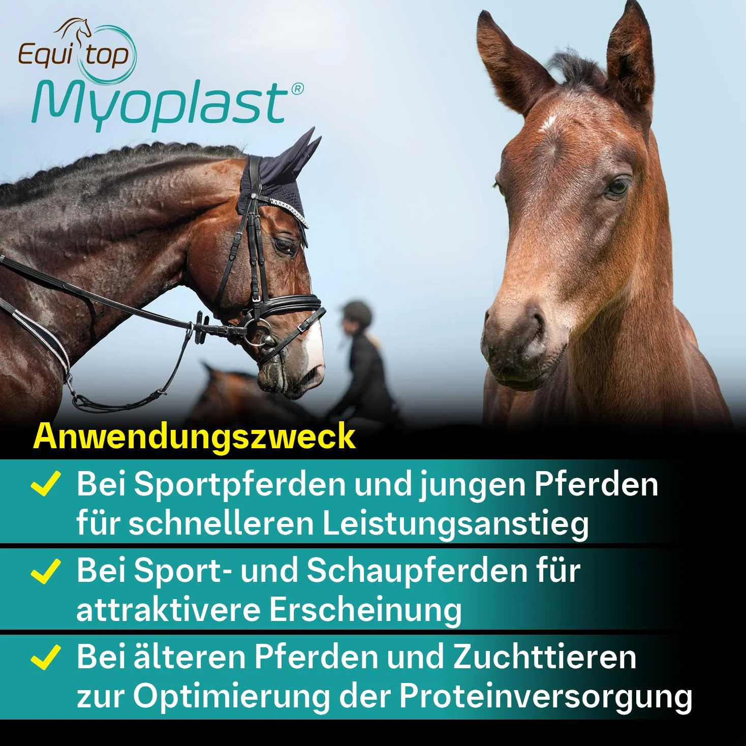 EQUITOP Myoplast granulat do budowy mięśni dla koni, 1,5 kg