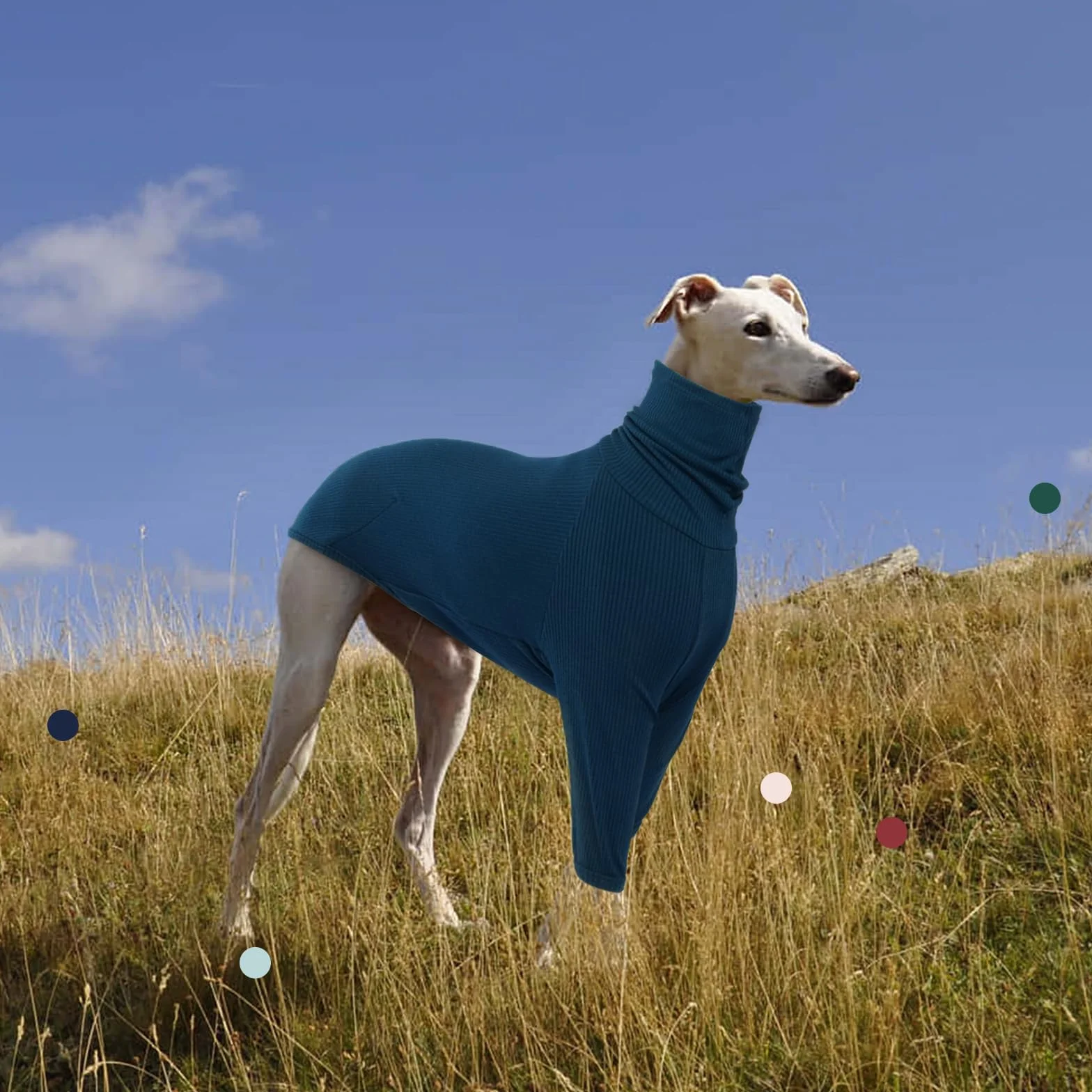 IECOii Whippet Sweter, golf chartów sweter dla małych psów, włoski charta bluza pulower dla psa kombinezon dla Lurcher, lekka i przytulna piżama charta rozciągliwy sweter dla psa, rozmiar S