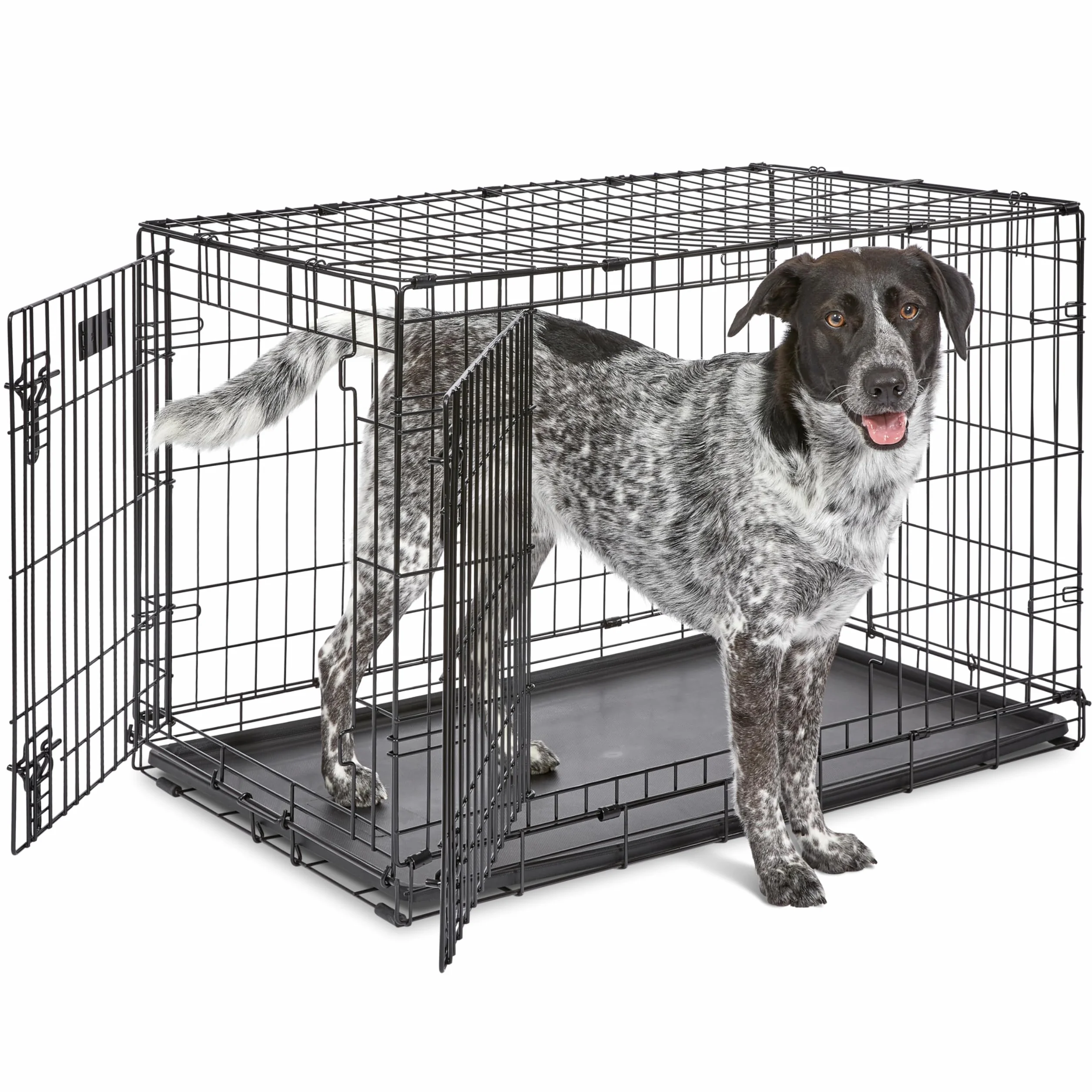 MidWest Homes for Pets Nowo ulepszone podwójne drzwi iCrate 90,42 cm (36"), długa skrzynia dla psa, zawiera szczelną patelnię, nóżki chroniące podłogę, panel działowy i nowe opatentowane funkcje,