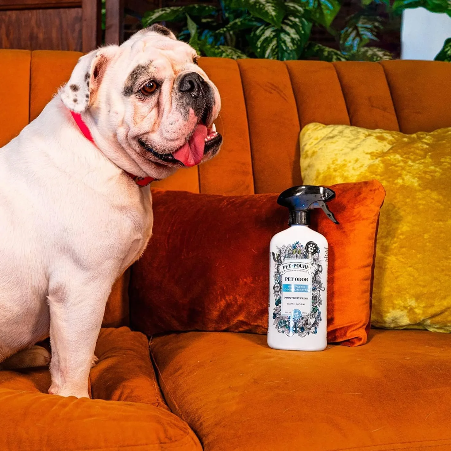 Pet-Pourri Pet Odor Pawsitively Fresh 473 ml
