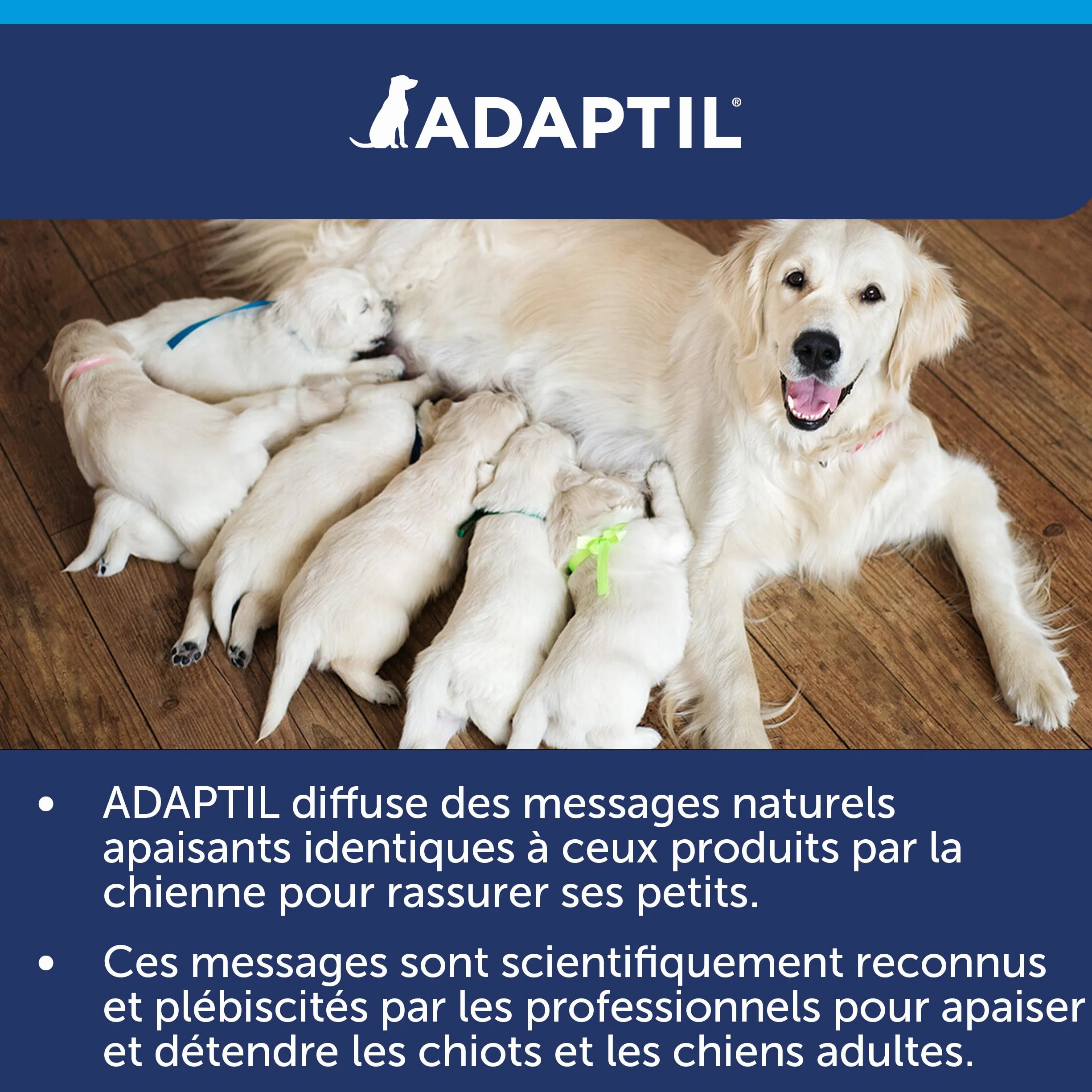 Obroża ADAPTIL Calm On-the-Go, pomaga psom radzić sobie ze stresem i lękiem, problemami behawioralnymi oraz wyzwaniami życiowymi, zwłaszcza poza domem - średnie/duże psy, czarne, 1 szt. (1 opakowanie)