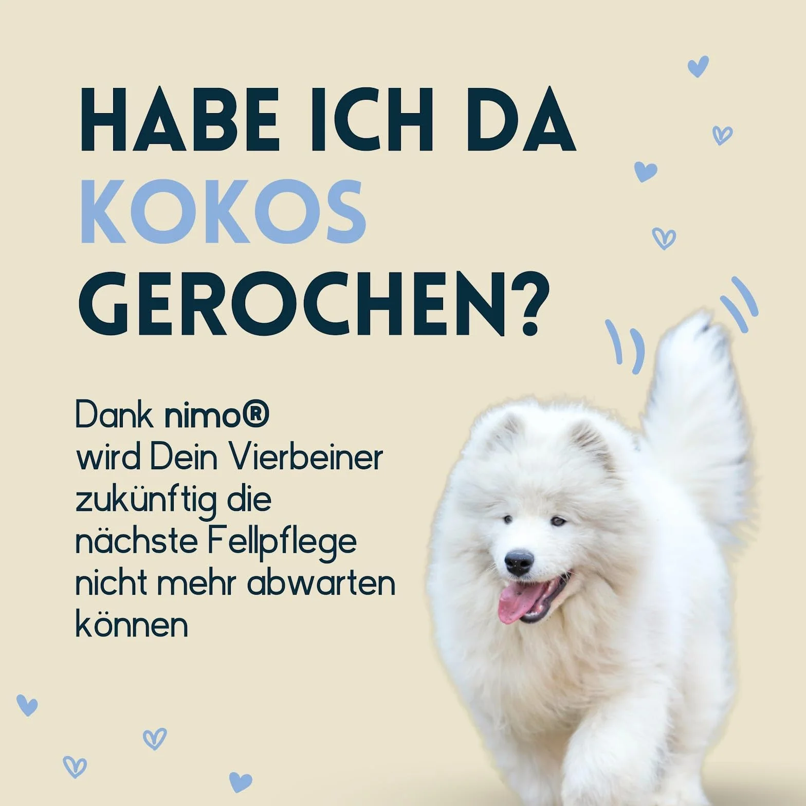 nimo® Spray do pielęgnacji futra kokosowego | dla psów, kotów i zwierząt domowych z kokosem | spray pielęgnacyjny dla błyszczącego i zadbanego futra | łatwiejsze rozczesywanie, pielęgnacja sierści,
