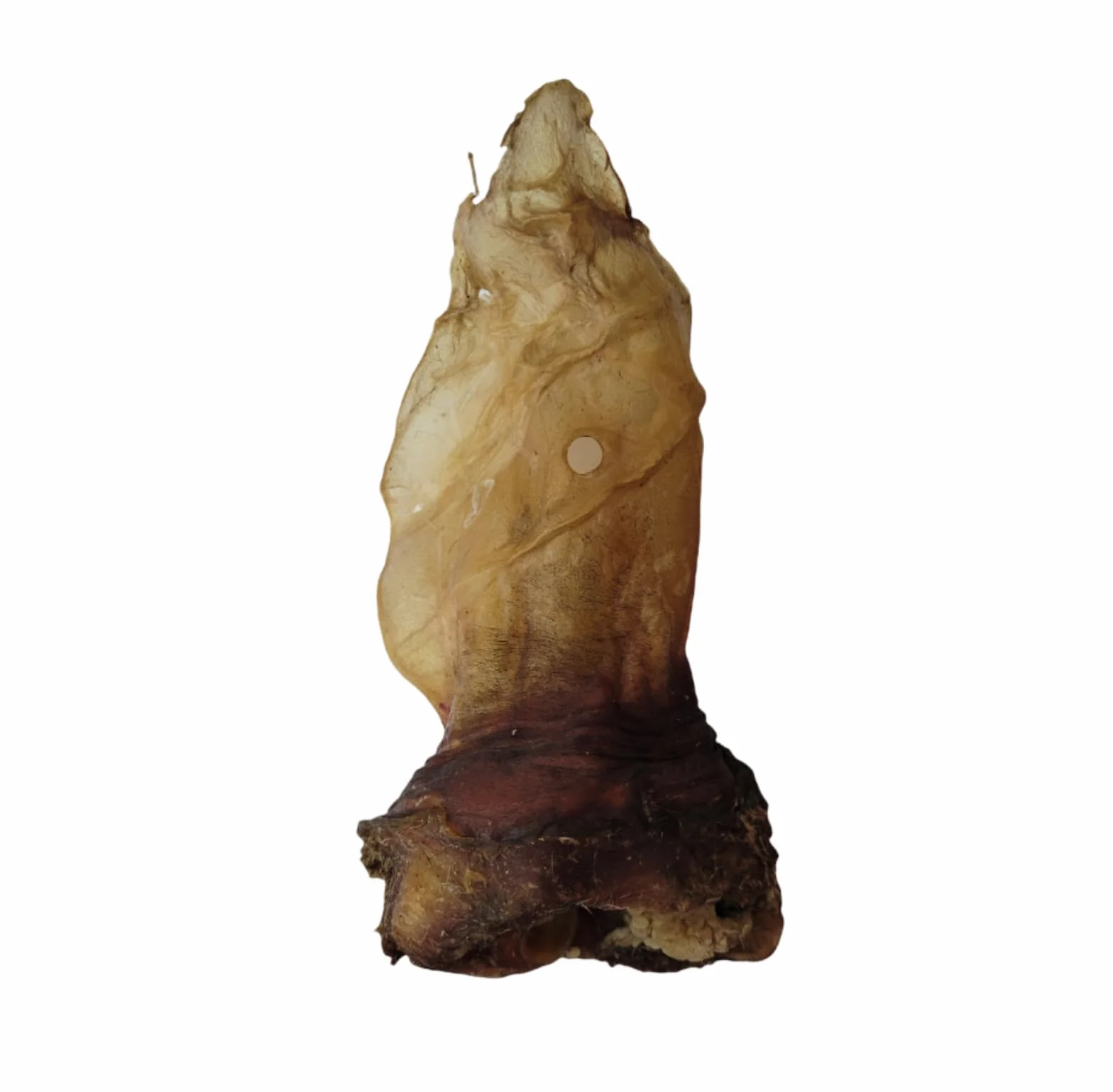 Uszy Wołowe XXL z Muszlą dla Psów, 1 kg, Naturalny Gryzak do Żucia dla Dużych Psów, 15-22 cm, Bez Futra, Organiczna Przekąska Bez Chemikaliów, Polska Produkcja