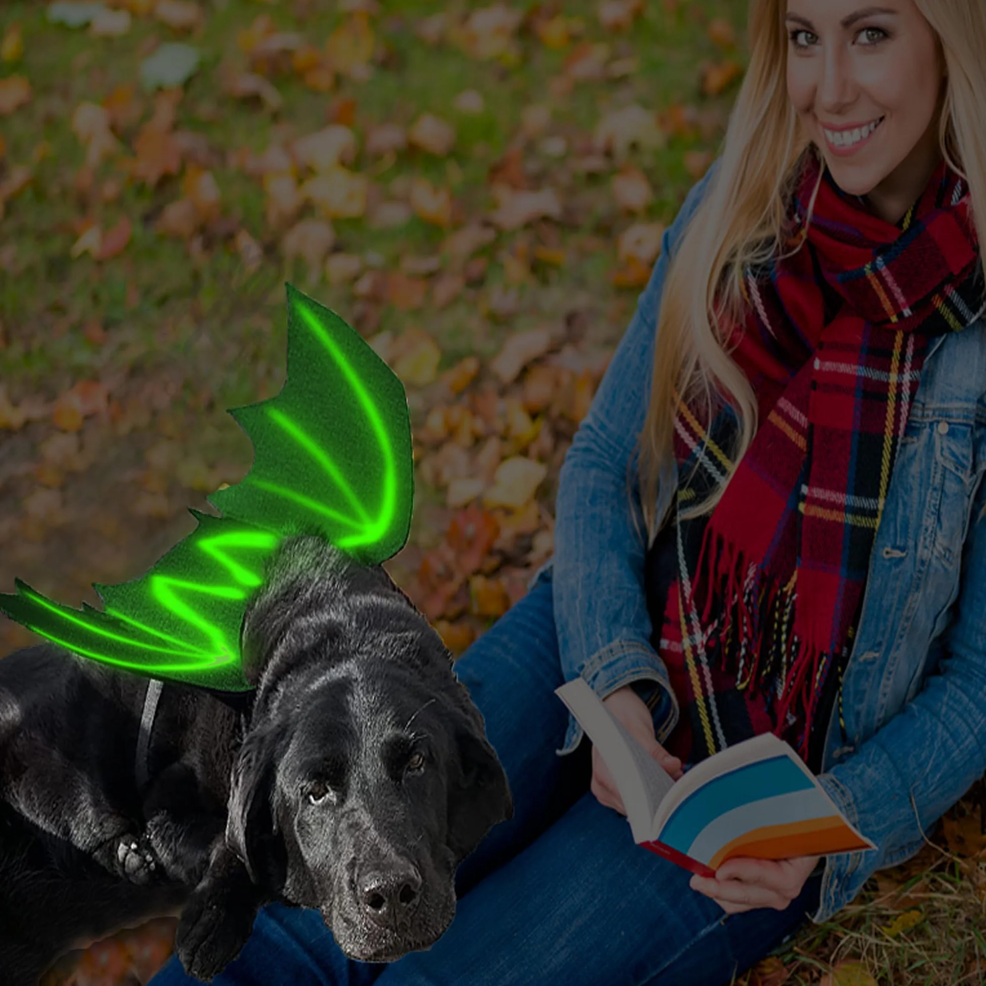 LIBNRTY skrzydła nietoperza dla psa, kostium na Halloween dla psa, stopień dużego psa, kostium nietoperza, strój na Halloween, do dekoracji dużych średnich psów na cosplay