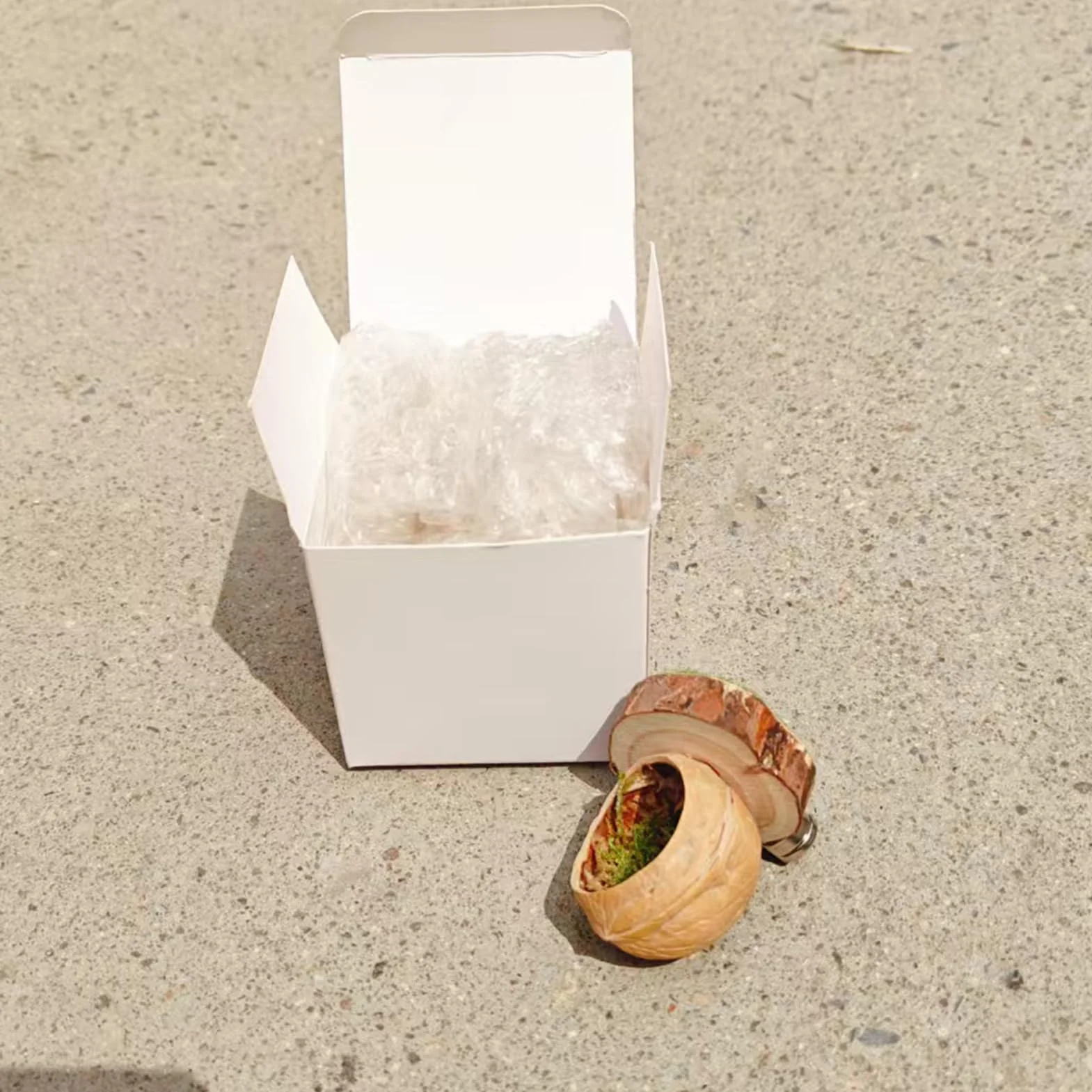 Spider Hide Shelter Magnetic Pet Habitat 1.57x2.36 Inches Handmade Reptile Accessory Jumping Spider Tarantula House