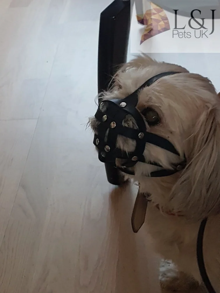 L&J Pets Uk Kaganiec dla psa Shih Tzu, mopsa i innego płaskiego psa z krótkim pyskiem (M2, czarny) (brązowa skóra, M1)