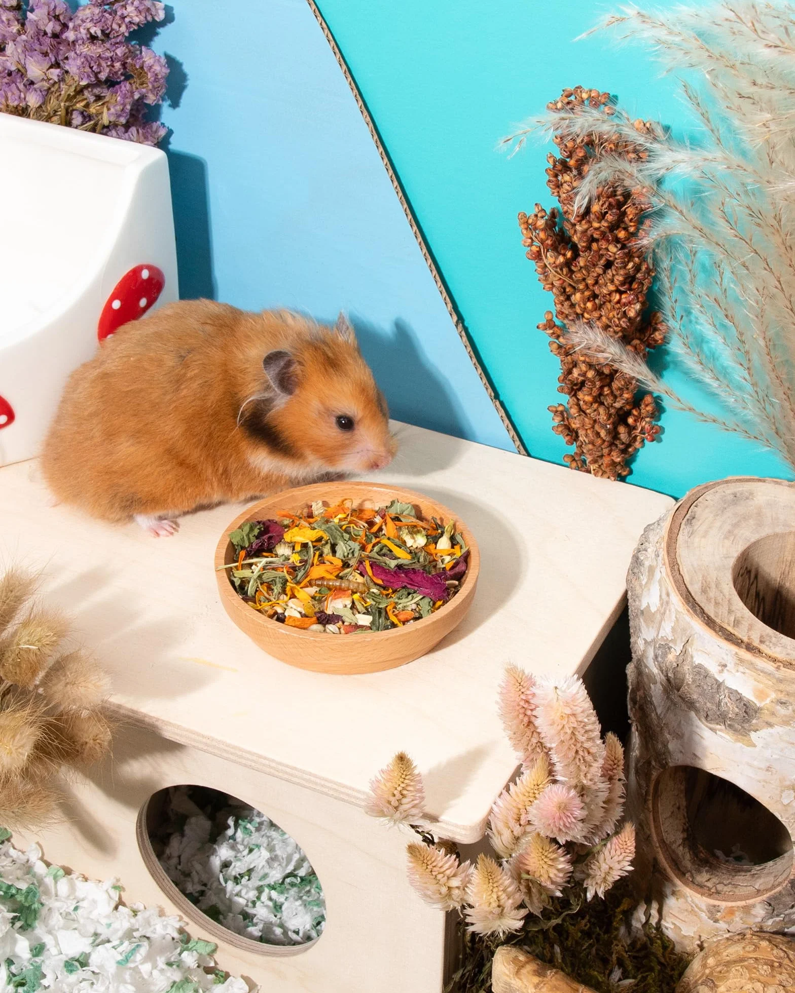 Niteangel Zabawka dla chomików i smakołyków – naturalna uczta dla chomików karłowatych, chomików syryjskich, chomików robo, gerbils, myszy – Classics 500 g Golden Hamster Food
