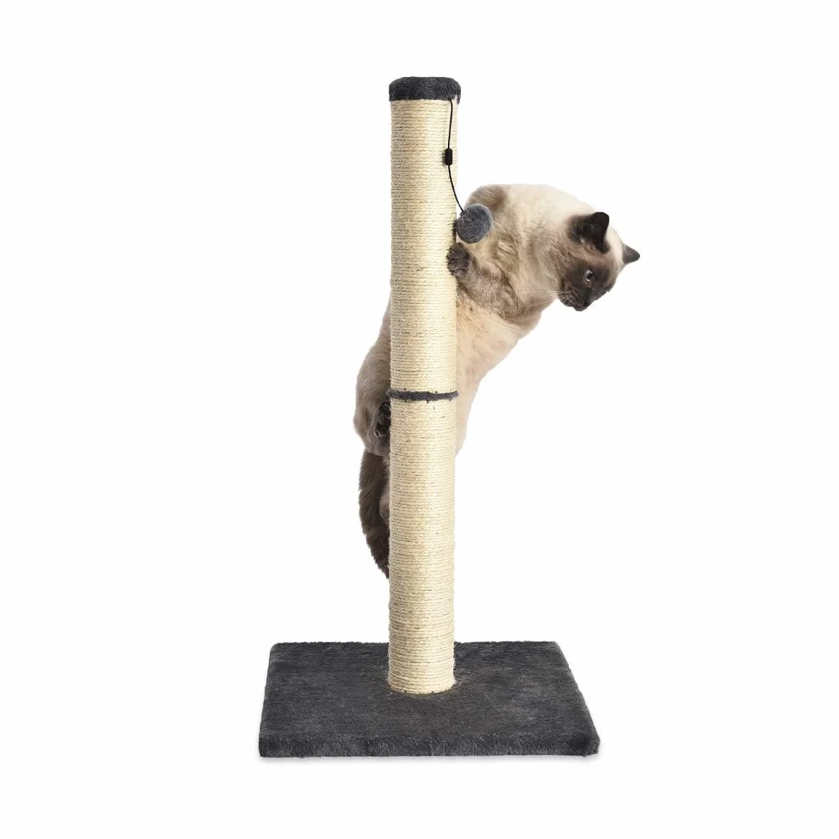 Amazon Basics Średniej wielkości drapak dla kotów, 40,01 x 40,01 x 80,01 cm, szary