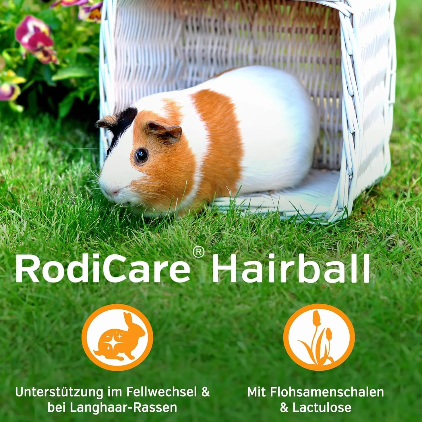Alfavet RodiCare Hairball karma uzupełniająca dla królików i świnek morskich, 3 x 12 ml