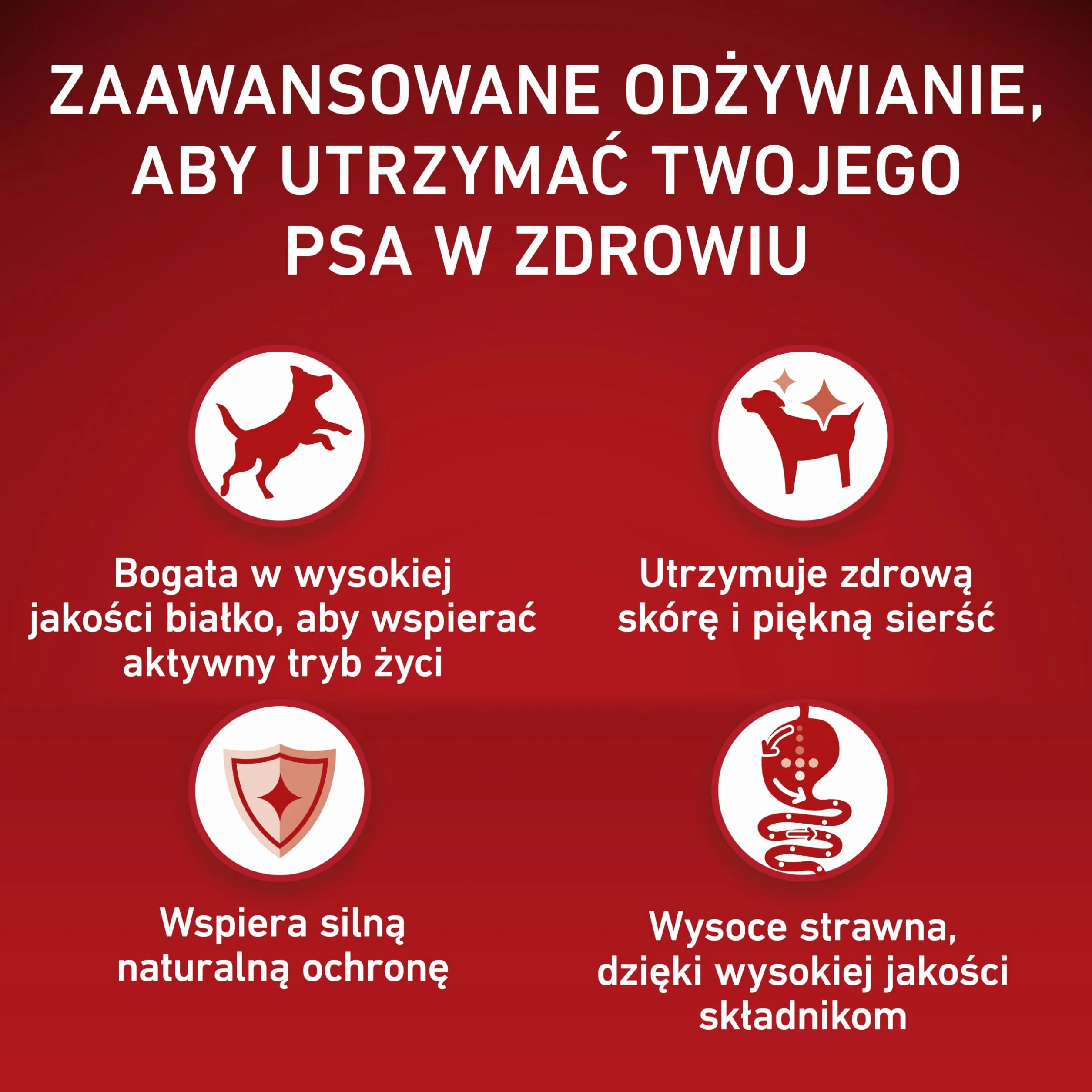 PURINA ONE Mini/Small Delicate karma dla psów sucha dla małych psów, bogata w łososie i ryż, 8 sztuk w opakowaniu (8 x 800 g)