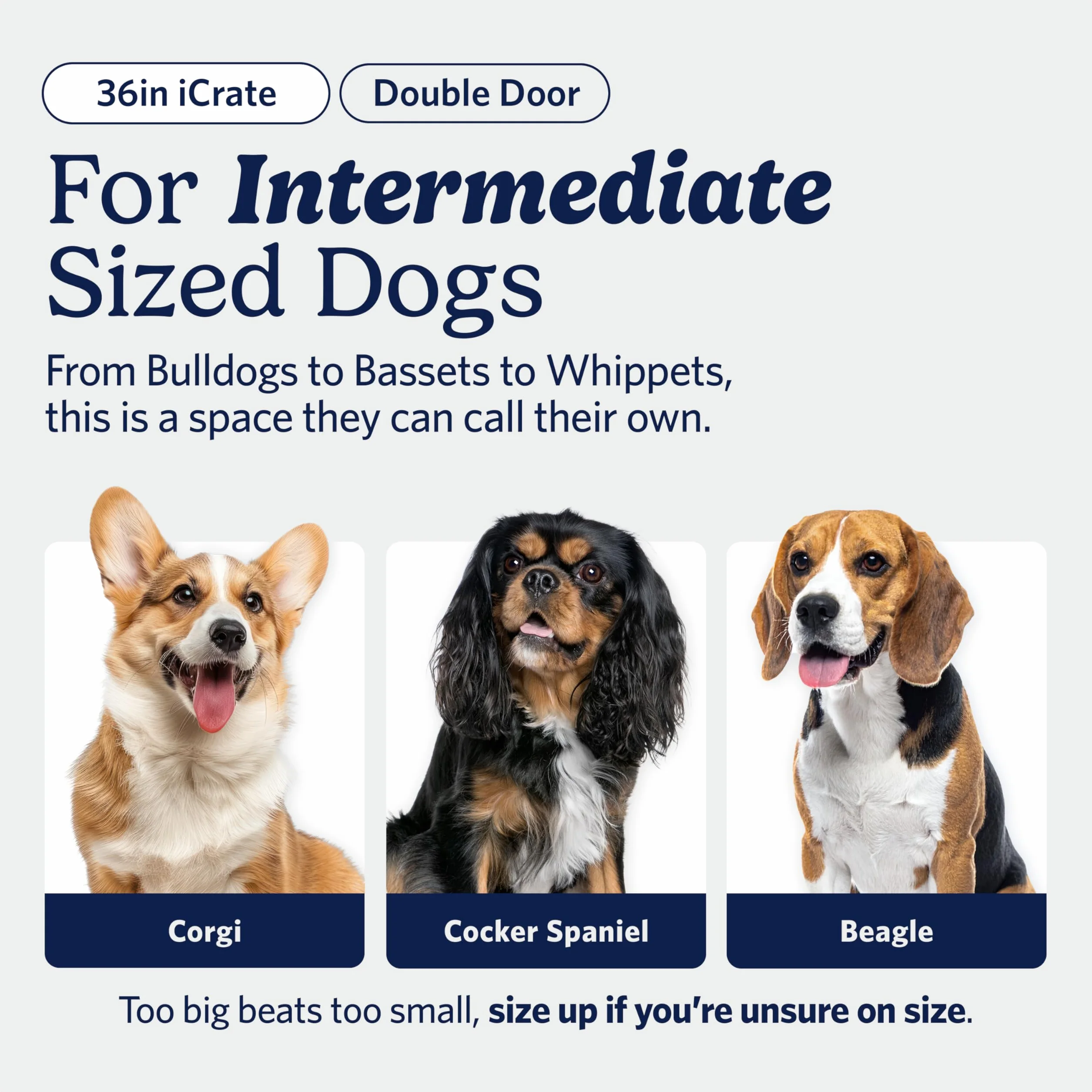 MidWest Homes for Pets Nowo ulepszone podwójne drzwi iCrate 90,42 cm (36"), długa skrzynia dla psa, zawiera szczelną patelnię, nóżki chroniące podłogę, panel działowy i nowe opatentowane funkcje,