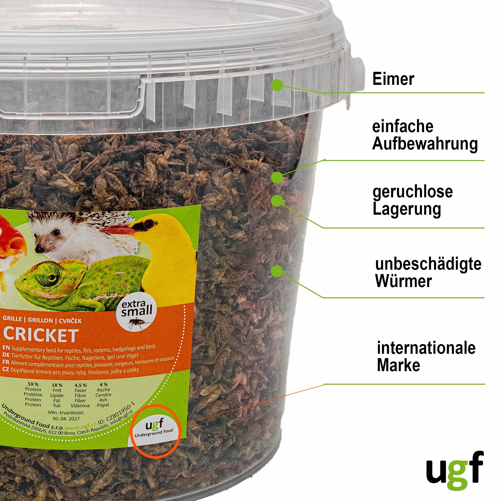 UGF - Suszone małe świerszcze - 400 g w wiaderku 3-litrowym, Owady świerszczowe, Karma dla ptaków dzikich (całoroczna), Karma dla żółwi, Karma dla jeży, Karma dla jaszczurek, Karma dla ryb