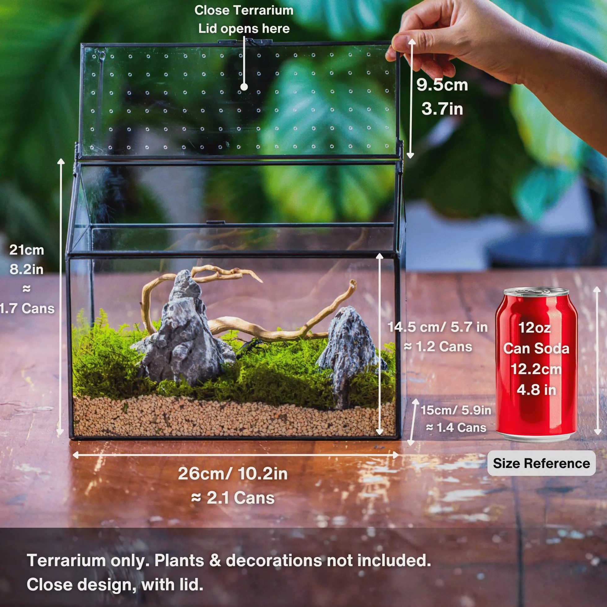 NCYP Szklane terrarium w kształcie domu z akrylową pokrywką, duże, geometryczne pudełko terrarium na ślimaki, paprocie, sukulenty, rośliny powietrzne, czarna dekoracja blatu (bez roślin)
