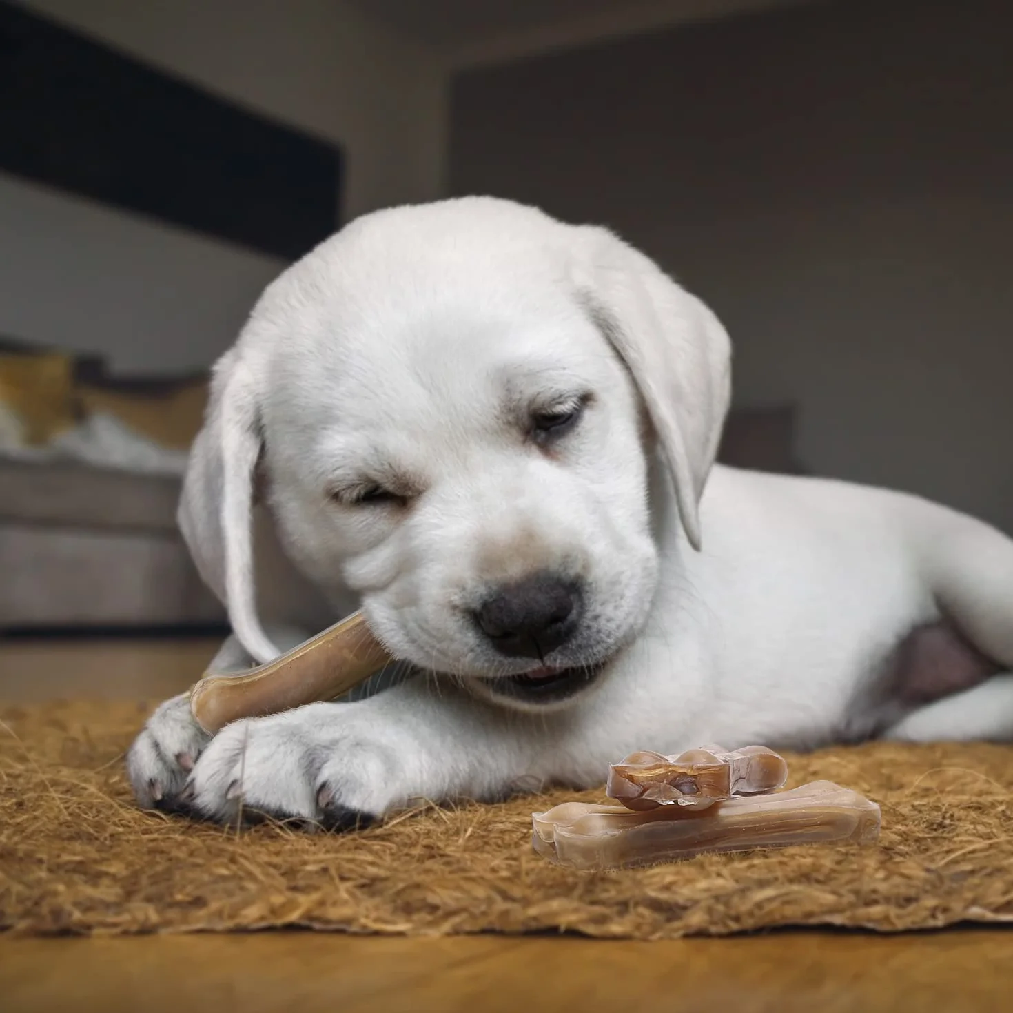 Nobleza - Kości do żucia dla psów 10 cm x 12 sztuk, 100% naturalne kości ze skóry wołowej i kości dla psów małych psów, kości dla psów o wysokiej zawartości białka