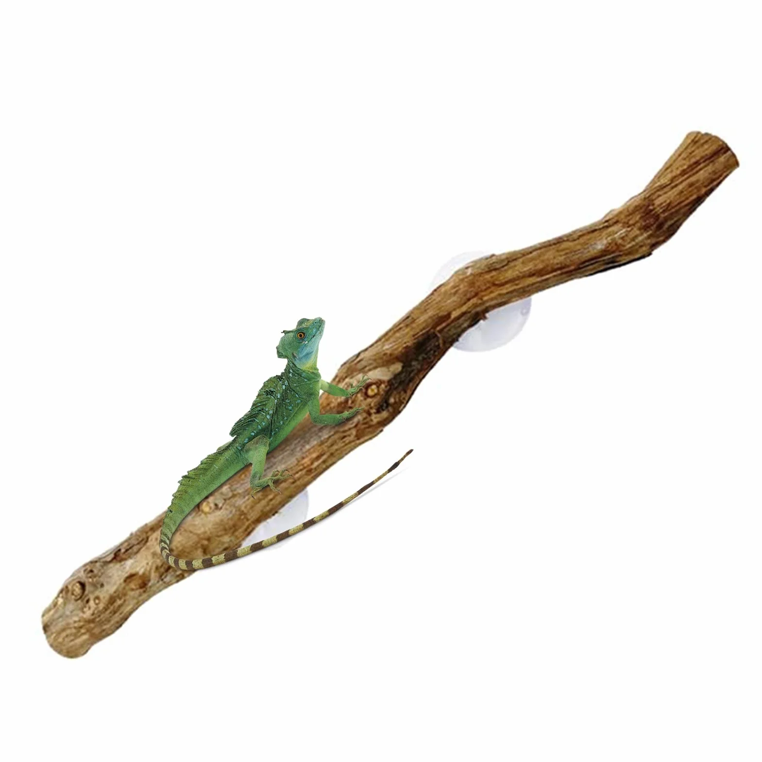 Dekoracja wspinaczkowa dla gadów, naturalne drewno winogronowe, antypoślizgowe siedlisko, 30 cm