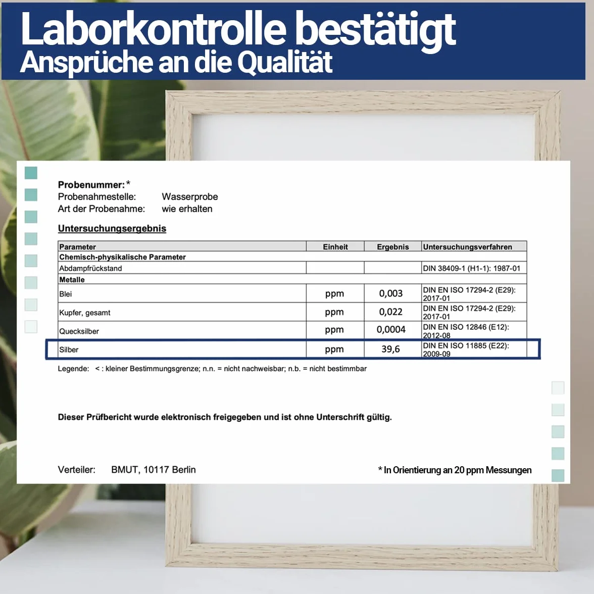 BMUT 1 x koloidalny srebrny spray dla zwierząt domowych – psa, kota, konia, spray na rany, przeciw swędzeniu, 40 ppm