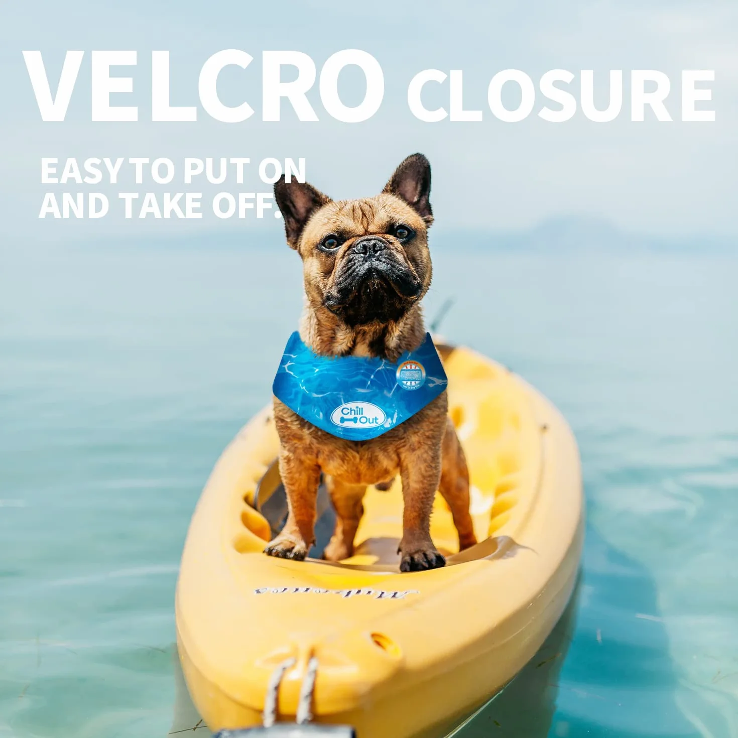 ALL FOR PAWS Chill Out Chill Out bandana z lodem dla psa, natychmiastowe chłodzenie, oddychający szalik, obroża dla psa, kota, na lato, niebieska, obwód szyi 44-52 cm (duży)