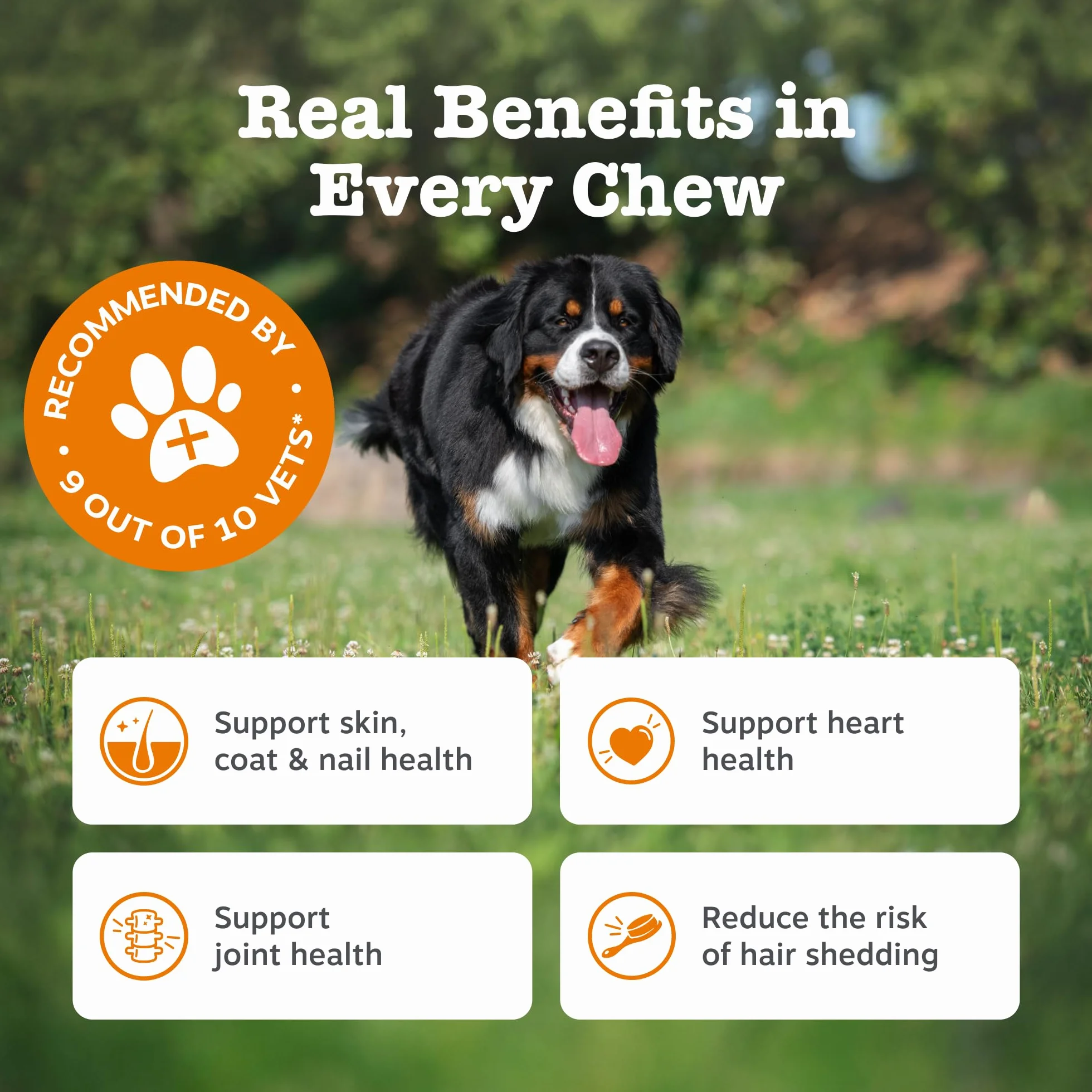 Zesty Paws Omega Skin & Coat Chews for Dogs | Helps Skin, Joint & Heart Health, Healthy & Shiny Coat, Anti-Itch | With Salmon, Omega-3, Biotin, Vitamin C & E, Zinc, Algal Oil | Daily Use | 90 Chews