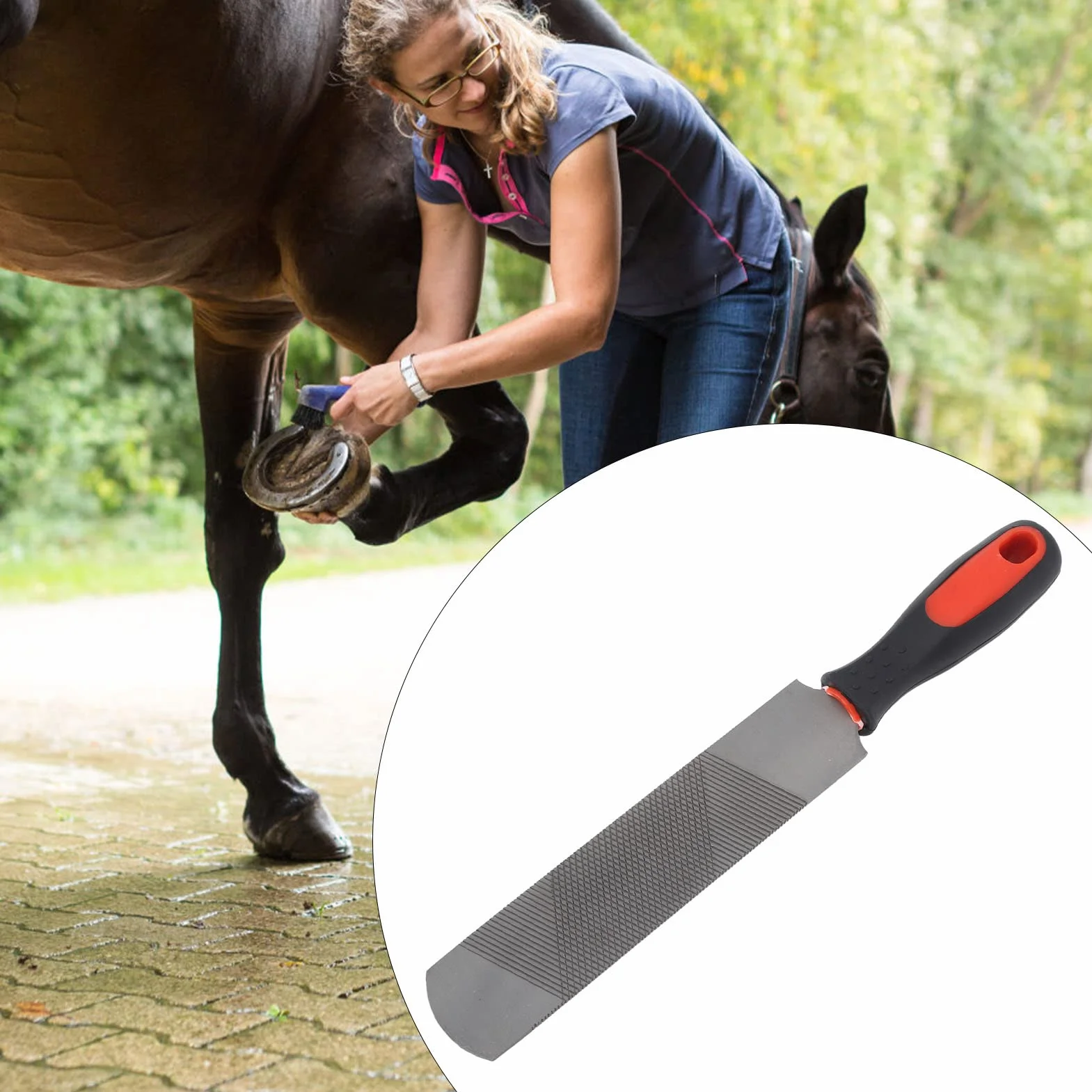 Dwustronny tarnik do kopyt ze stali węglowej 20 cm, ergonomiczny pilnik do przycinania kopyt koni