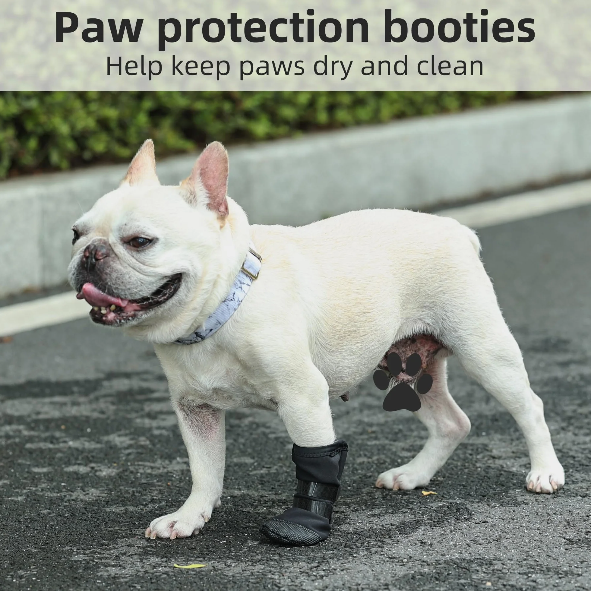 Buty PPGGOPP do regeneracji łap psa,Hundeschuhe zur Erholung,Ochrona łap psa,Zapobieganie lizaniu ran zwierząt domowych,Oddychające,Miękkie,Ochrona przed ugryzieniami,Wilgocią i Infekcjami,Zmywalne i