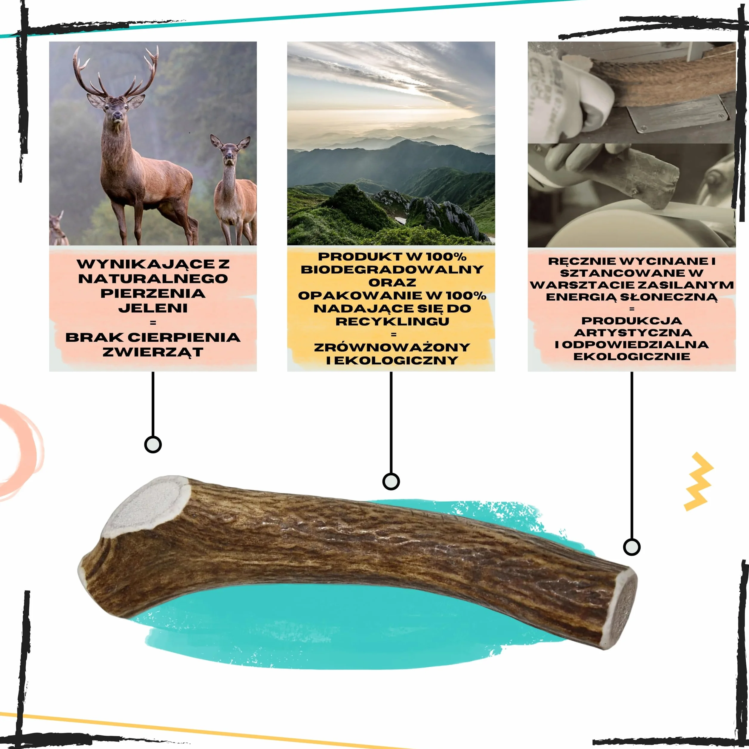 Poroże jelenia dla psa, Rozmiar XS Psy Miniaturowe i Szczenięta, 2 szt | Usuwa kamień nazębny, Źródło minerałów, 100% Naturalny gryzak, Ultra wytrzymały, Bez konserwantów