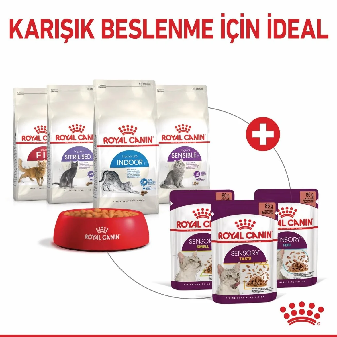 Royal Canin FHN Sensory Taste | Saszetka - kawałki w sosie | 12x85g