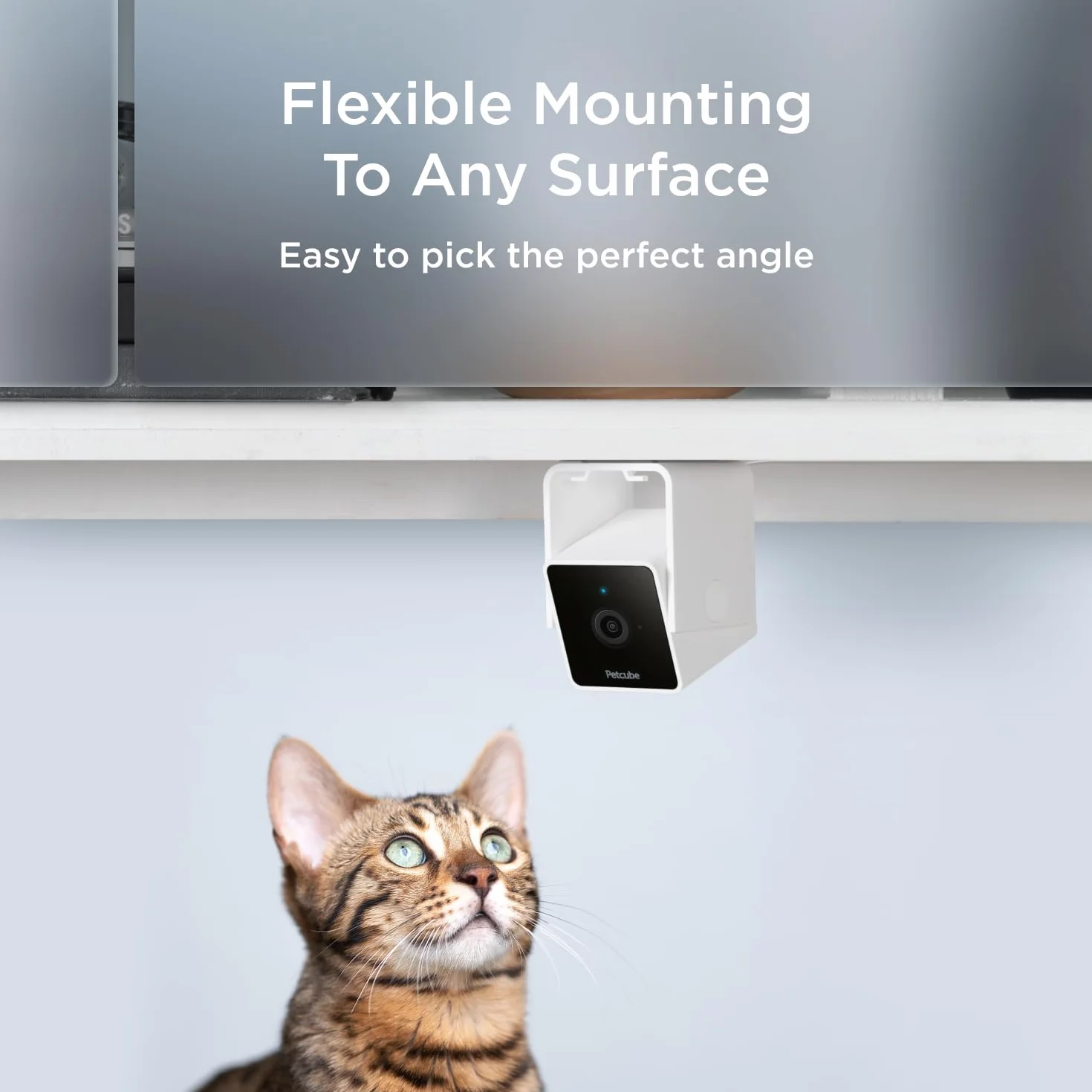 Petcube Cam, kamera monitorująca zwierzęta domowe z wbudowanym czatem weterynaryjnym dla kotów i psów, kamera bezpieczeństwa z wideo HD 1080p, noktowizor, dwukierunkowy dźwięk, mocowanie magnesem