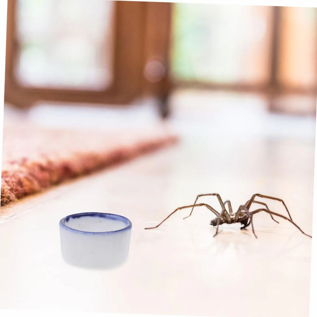 VANZACK Ceramiczna Miska Do Karmienia Gadów Woda Skorpion Kompaktowa Łatwa Czyszczenia