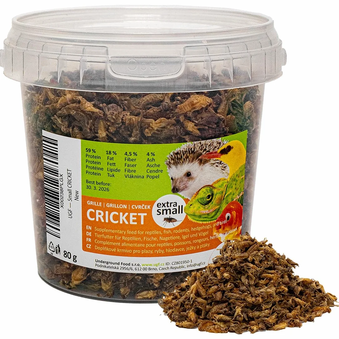 UGF - Suszone małe świerszcze - 80 g w wiaderku 500 ml, Owady świerszcze, Karma dla ptaków dzikich (całoroczna), Karma dla żółwi, Karma dla jeży, Karma dla jaszczurek, Karma dla ryb