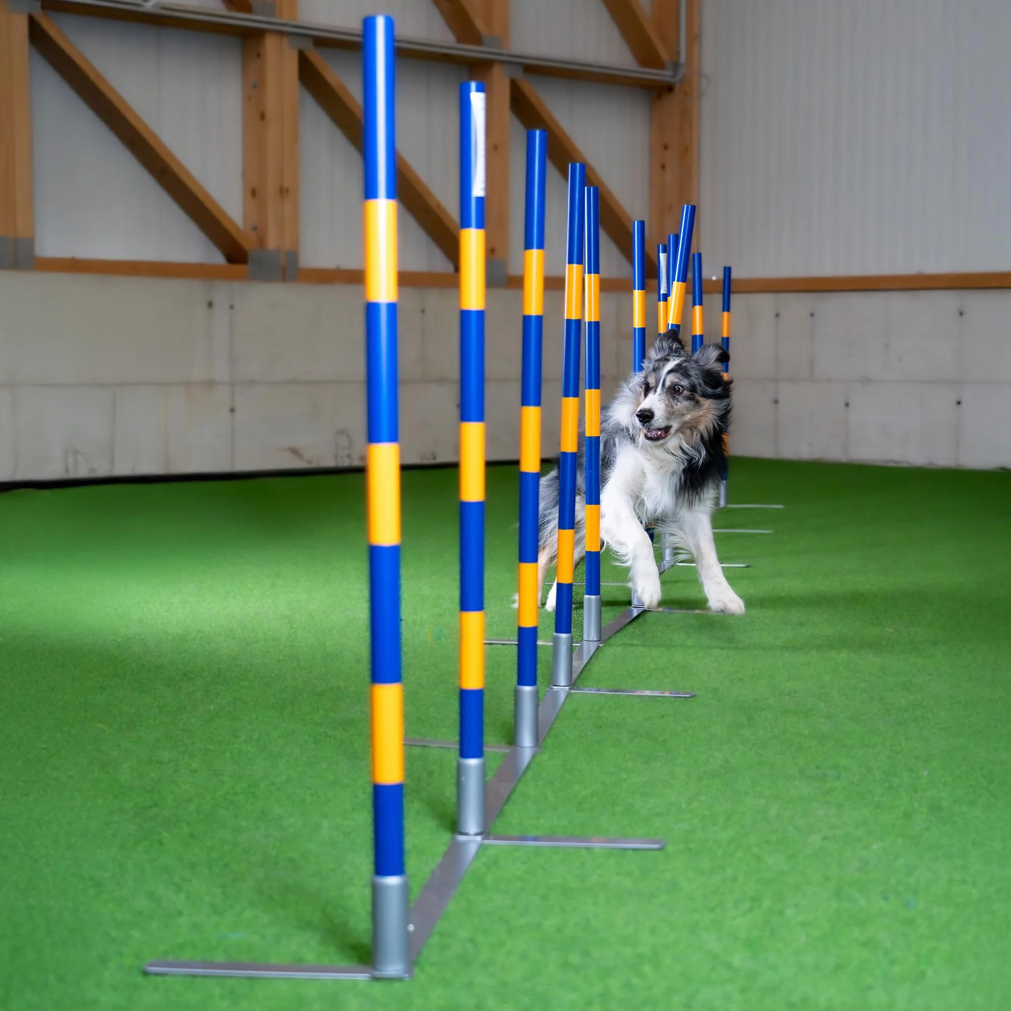 Callieway Orig Agility Slalom, TRICHTERSLALOM®, Gassenslalom, Agility Channel Weaves (zgodne z FCI)