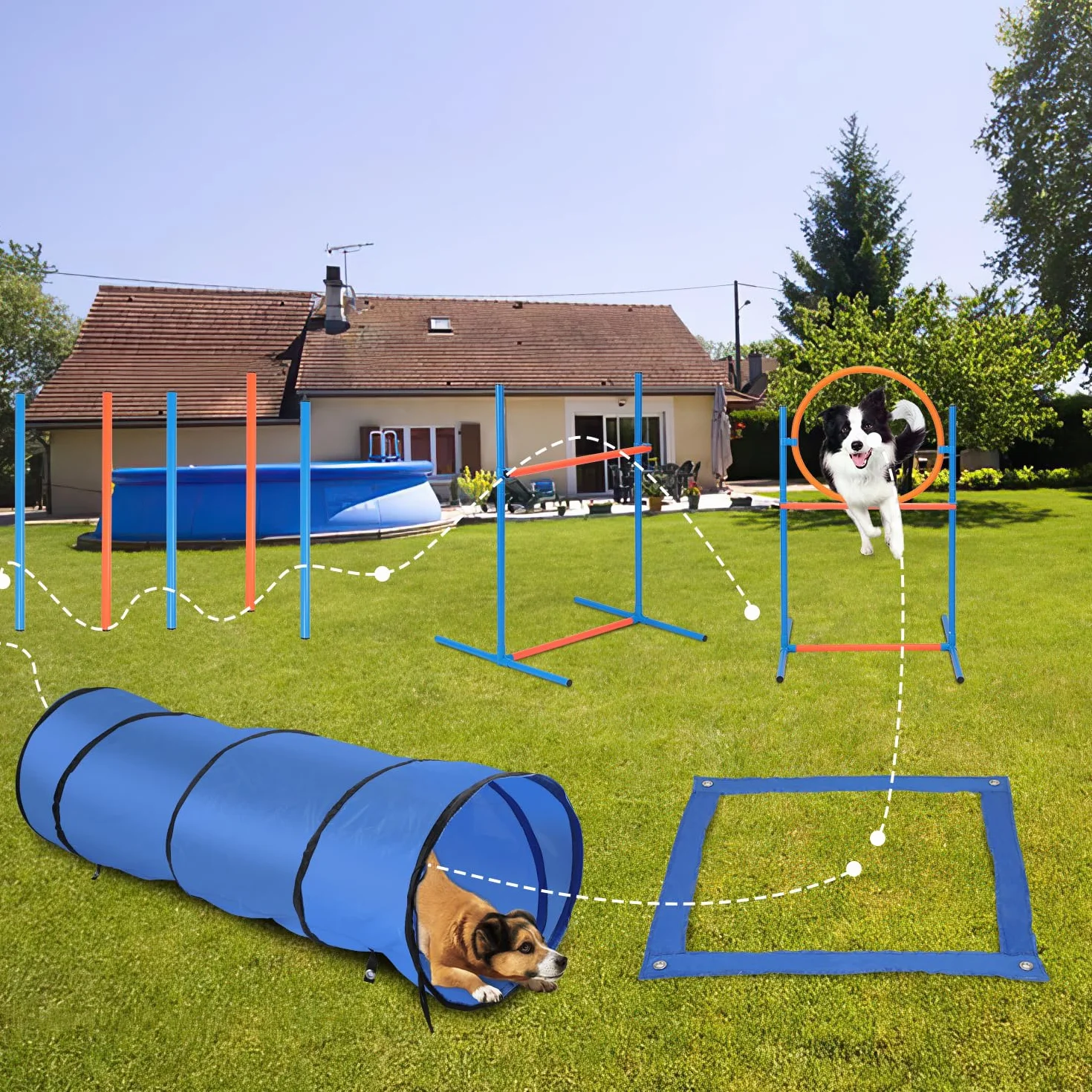 Gimisgu Agility zestaw dużych psów zwinnościowych, zestaw wyposażenia dla psów, akcesoria do treningu psa, przeszkoda, pierścień do skakania, tunel dla psa, 8 drążków slalomowych, piłka, gwizdek,