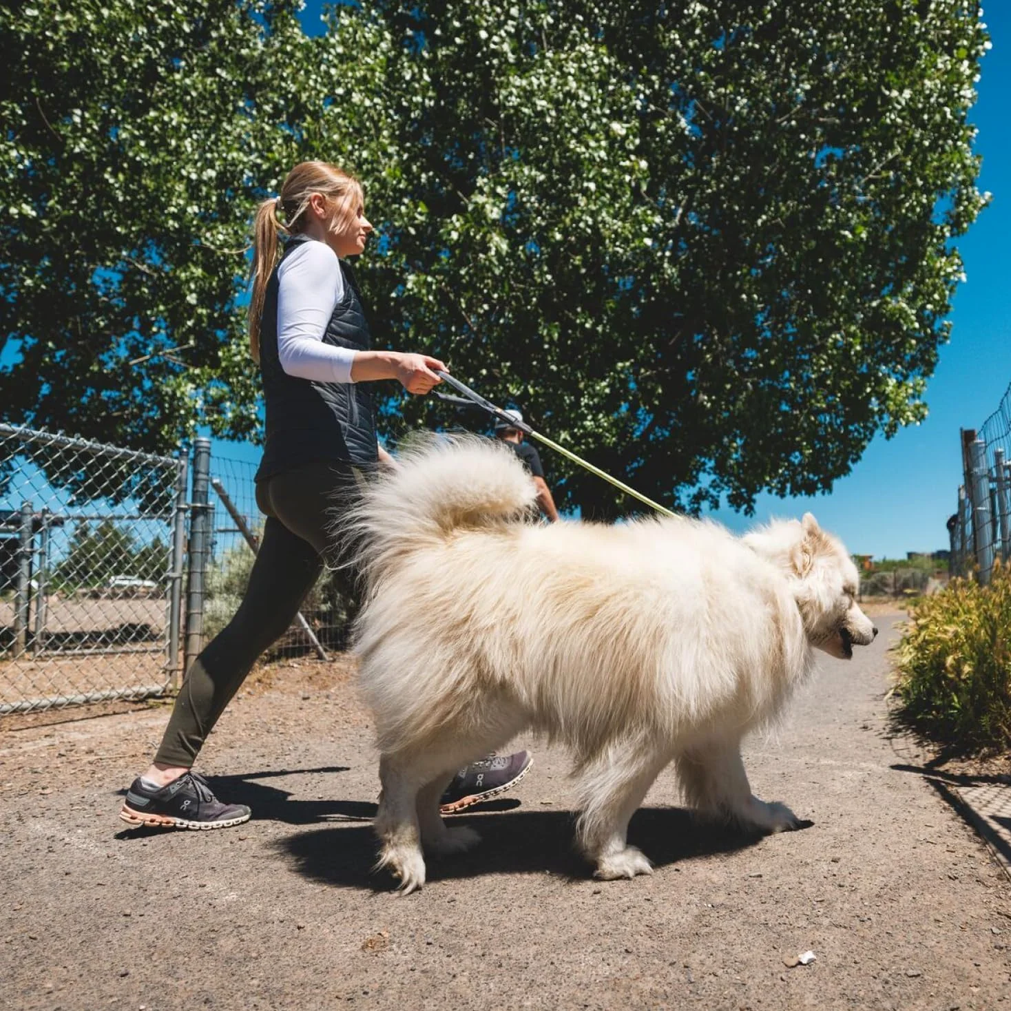 RUFFWEAR Knot-a-Long krótka smycz dla psa, bez ciągnięcia, 0,7 m z wyściełanym uchwytem, lekka i wytrzymała smycz dla psa, zapobiegająca plątaniu się i ciągnięciu, bezpieczny karabińczyk blokujący,