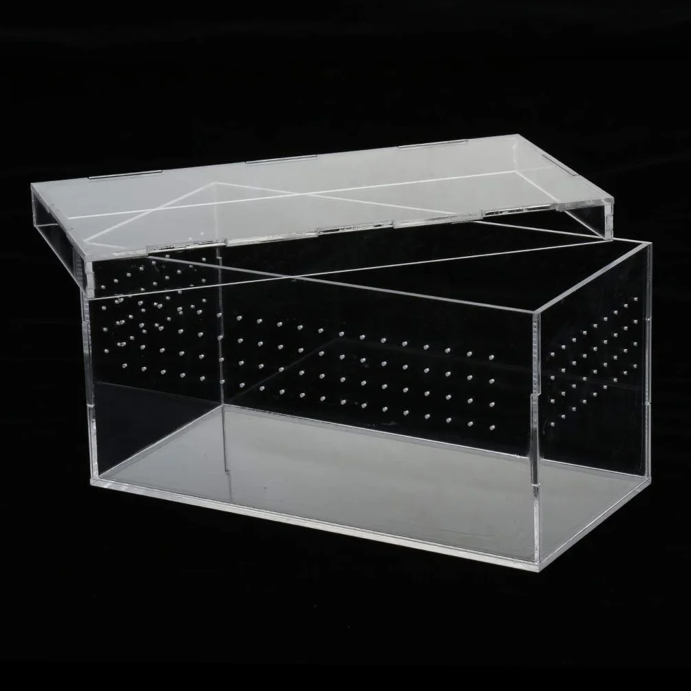 Pudełko terrarium dla gadów i płazów węże jaszczurki żółwie pająki