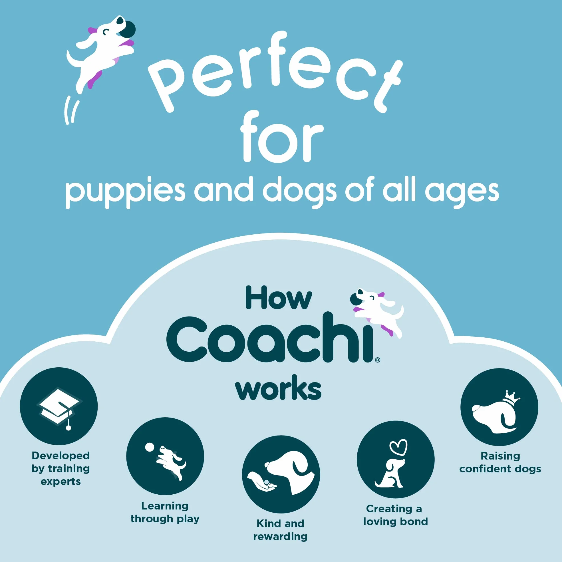 Coachi Chase & Treat, Great for Play & Chase, Agility & Distance Training, Encourages Interaction, Good for Motivating, Distance Reward Training & Encouraging Retrieval. Suitable for Dogs & Puppies