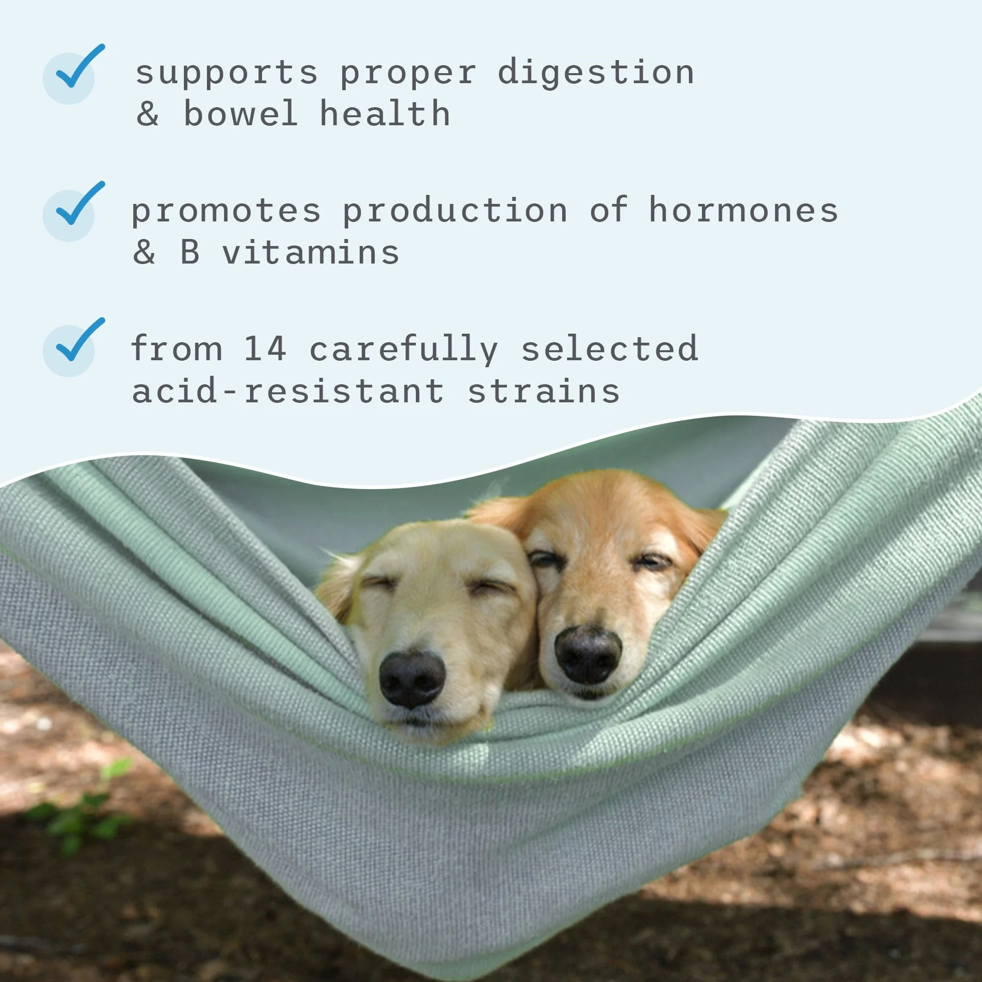 Dr Mercola Pet Probiotics (pet probiotika) 90 g