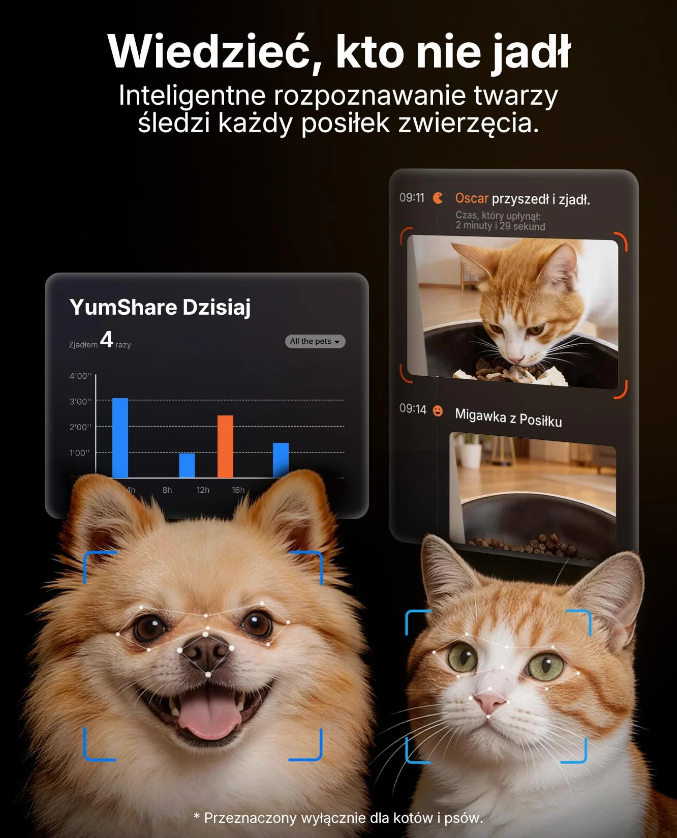 PETKIT Automatyczny Dozownik Karmy dla Kota z Kamerą AI, 3L, 1080P HD, WiFi 2.4G/5GHz, Miska ze Stali Nierdzewnej