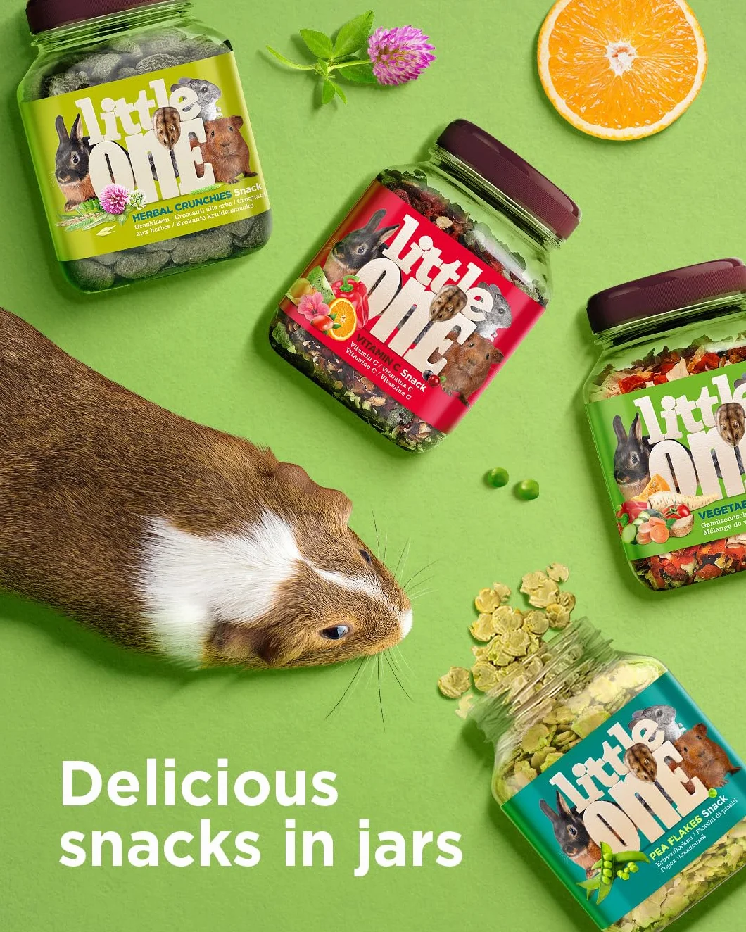 Little One Fruit Mix | 180 g | karma uzupełniająca dla gryzoni i królików miniaturowych | z suszonymi owocami, takimi jak banan, ananas, rodzynki, jabłko, orzech kokosowy, papapia i wiele innych