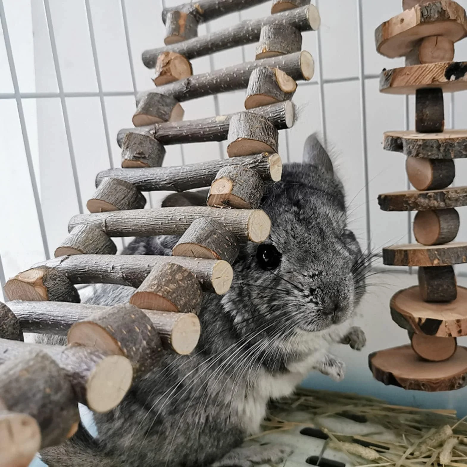 Drabinka Dla Małych Zwierząt, Produkty Dla Zwierząt Drabinka Dla Ptaków Drabinka Do Wspinaczki Dla Zwierząt Drabinka Dla Ptaków Do Klatki Dla Papug(30cm)