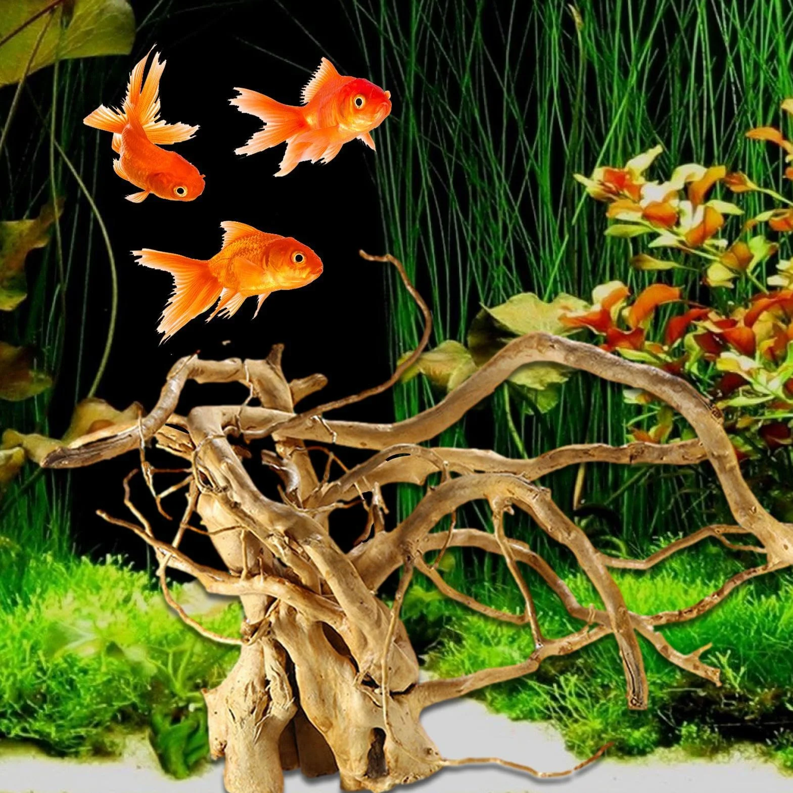 Zbiornik żółwia drewniany korzeń drzewa - lite gałęzie drewna gadów dekoracja terrarium | pnia drzewa roślina terrarium akcesoria do akwarium | symulacja siedliska gałęzi drewna terrarium roślina